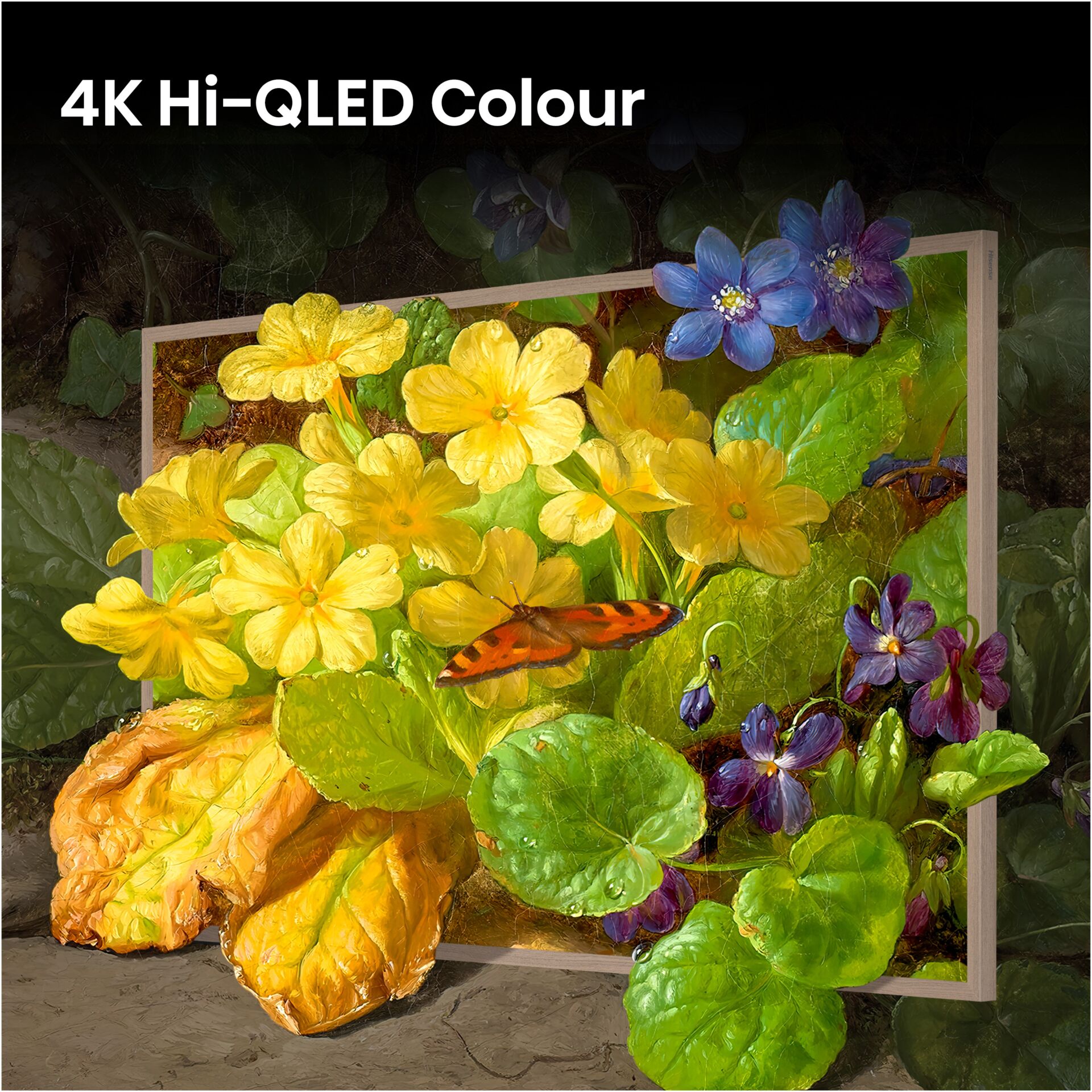 4K, QLED, Farbe, Blumen, Schmetterling