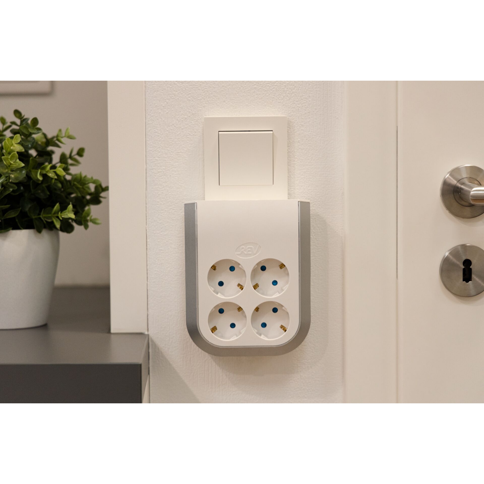 Pflanze, Pflanze im Topf, Elektrisches Gerät, Schalter, Elektrische Steckdose