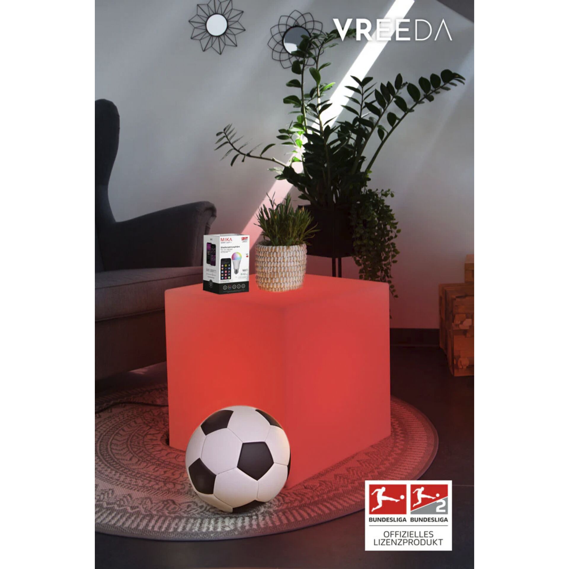 Fußball-Ball, Topfpflanze, Pflanzgefäß, Töpferei, Vase