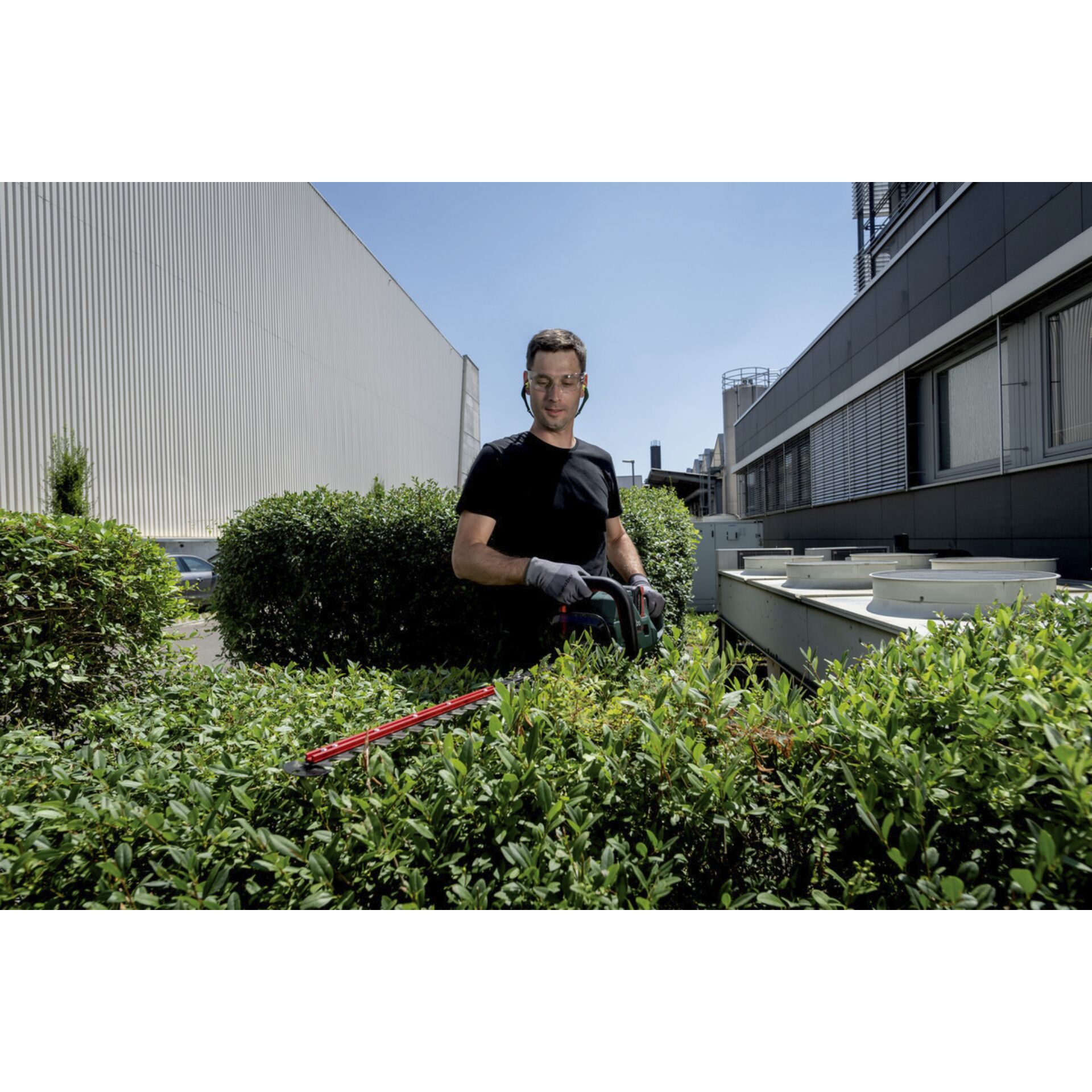 Gras, Innenarchitektur, Hecke, Person, Handschuh