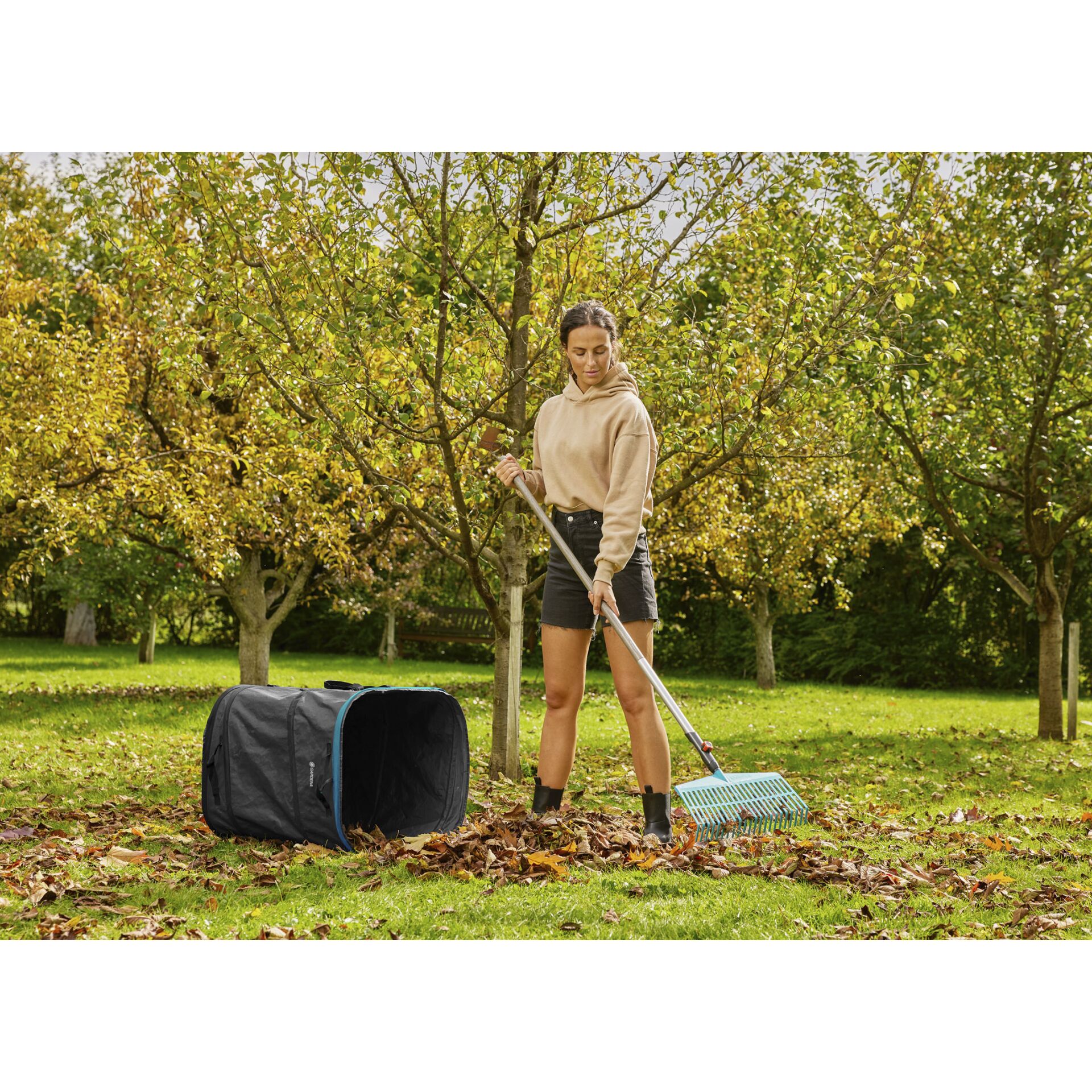 Gras, Pflanze, Rasen, Gerät