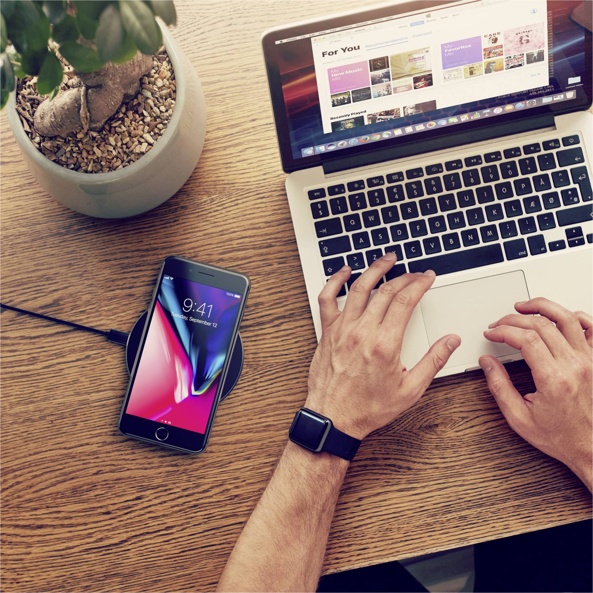 Computer, Laptop, PC, Computer-Tastatur, Pflanze