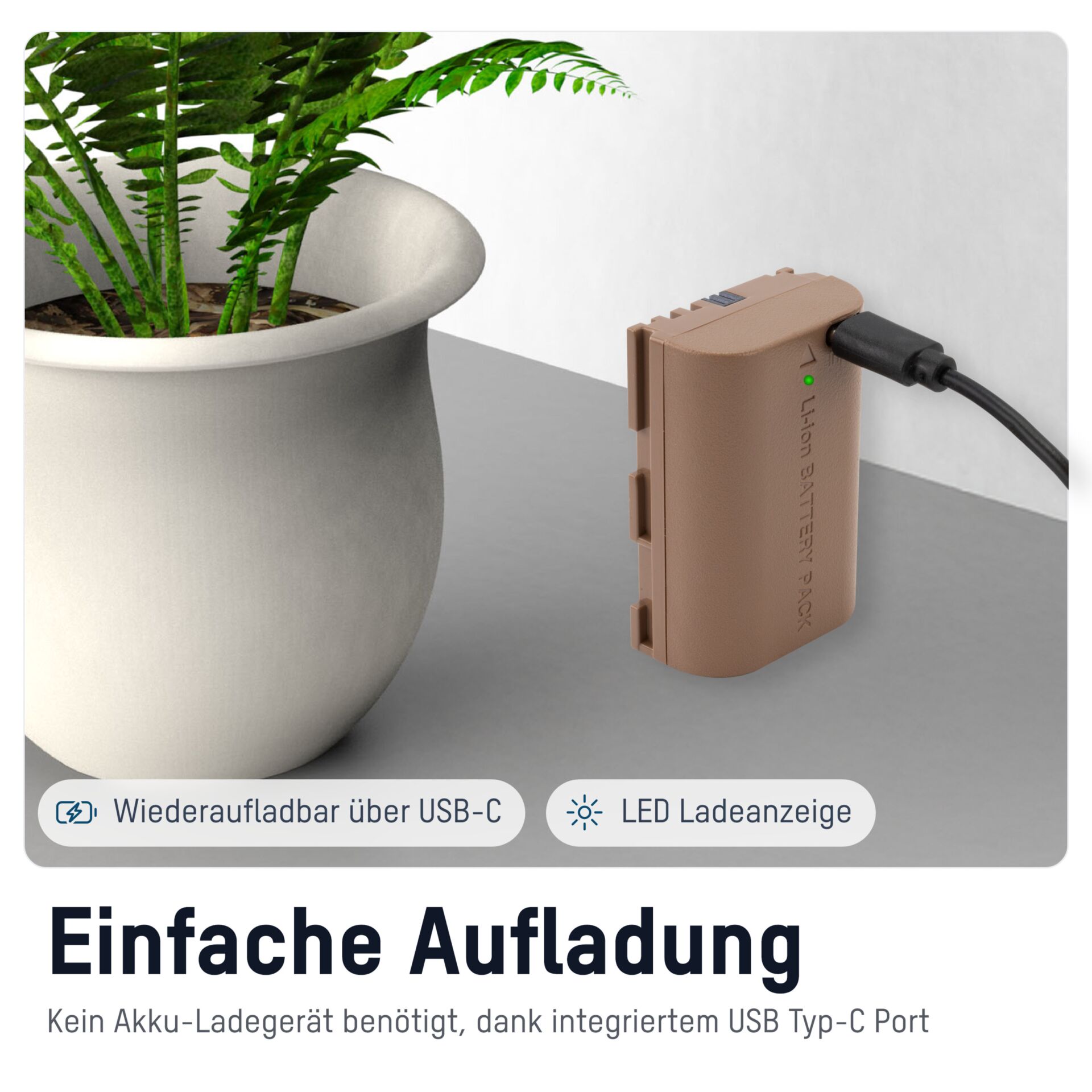 Pflanze, Pflanze im Topf, Krug, Pflanzgefäß, Adapter