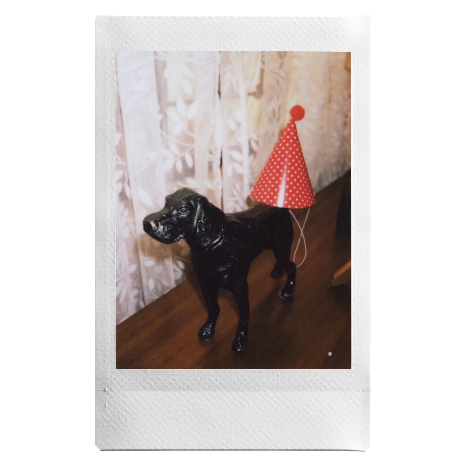 Hund, Party Hut, Schwarz, Hundestatue?, Figur?