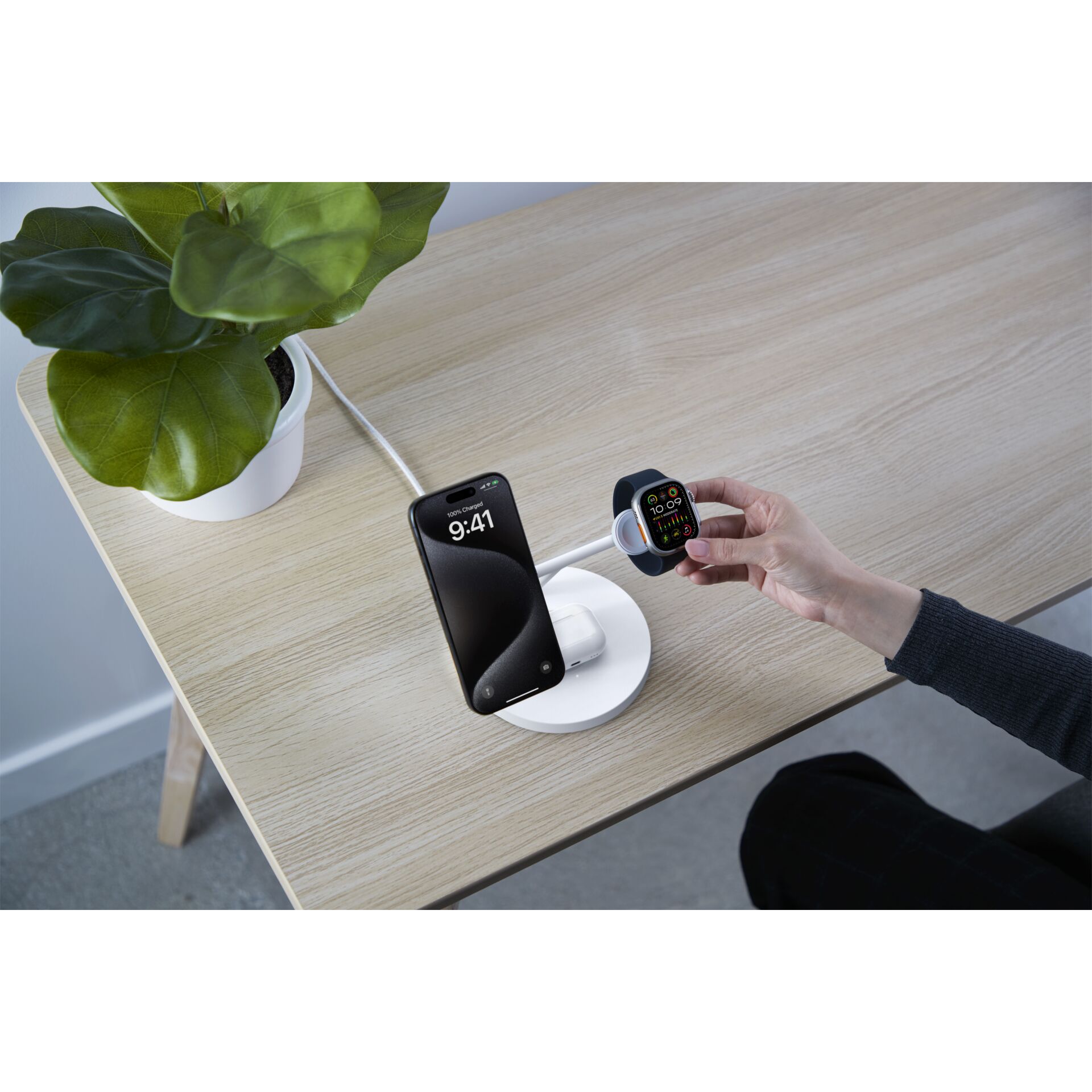 Computerausrüstung, Elektronik, Überwachen, Bildschirm, Pflanze