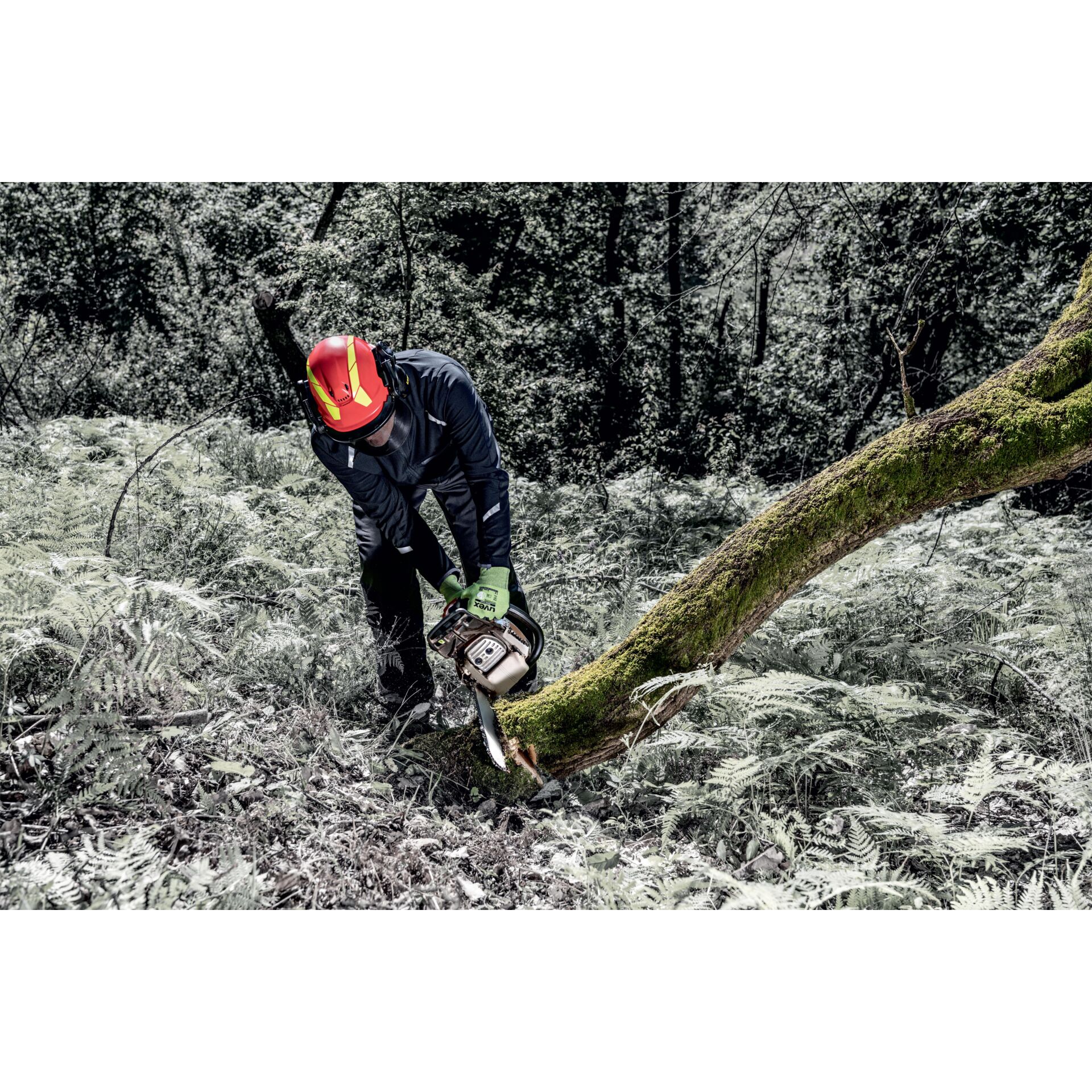 Person, Arbeiter, Kleidung, Handschuh, Baum