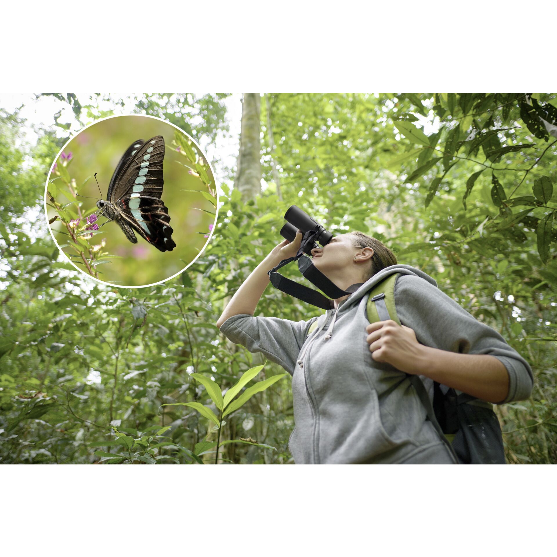 Photographie, Vegetation, Portrait, Dschungel, Regenwald