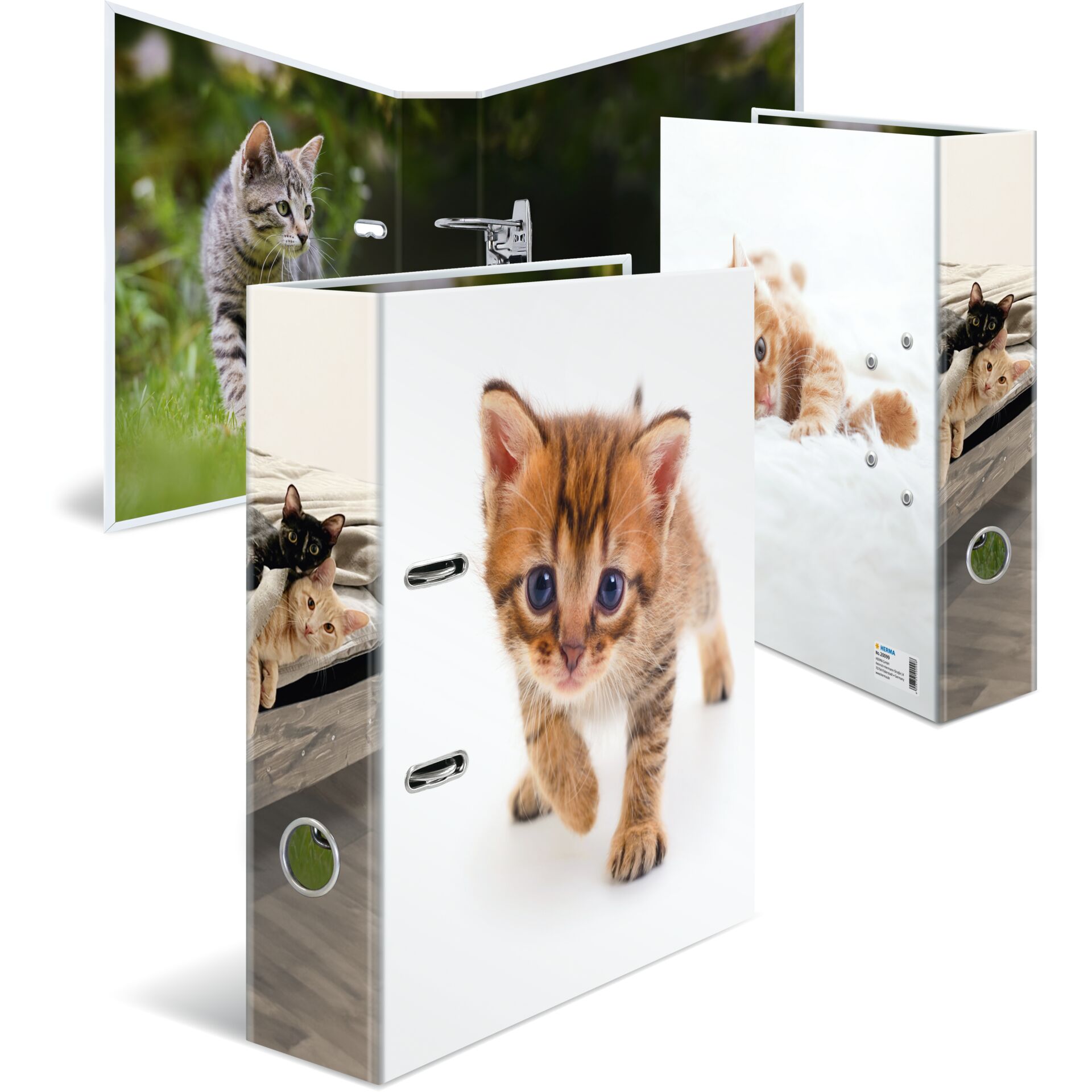 Katzen-Ordner, Tier-Ordner, Binder, Katzenfoto, Mehrfacher Ordner