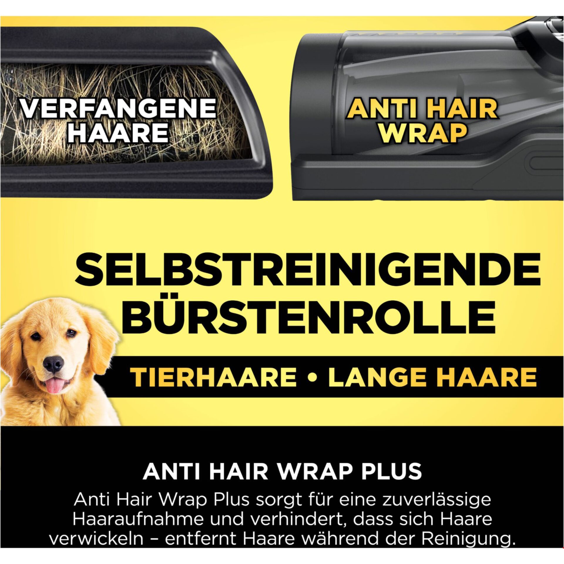 Werbung, Plakat, Hund, Säugetier, Haustier