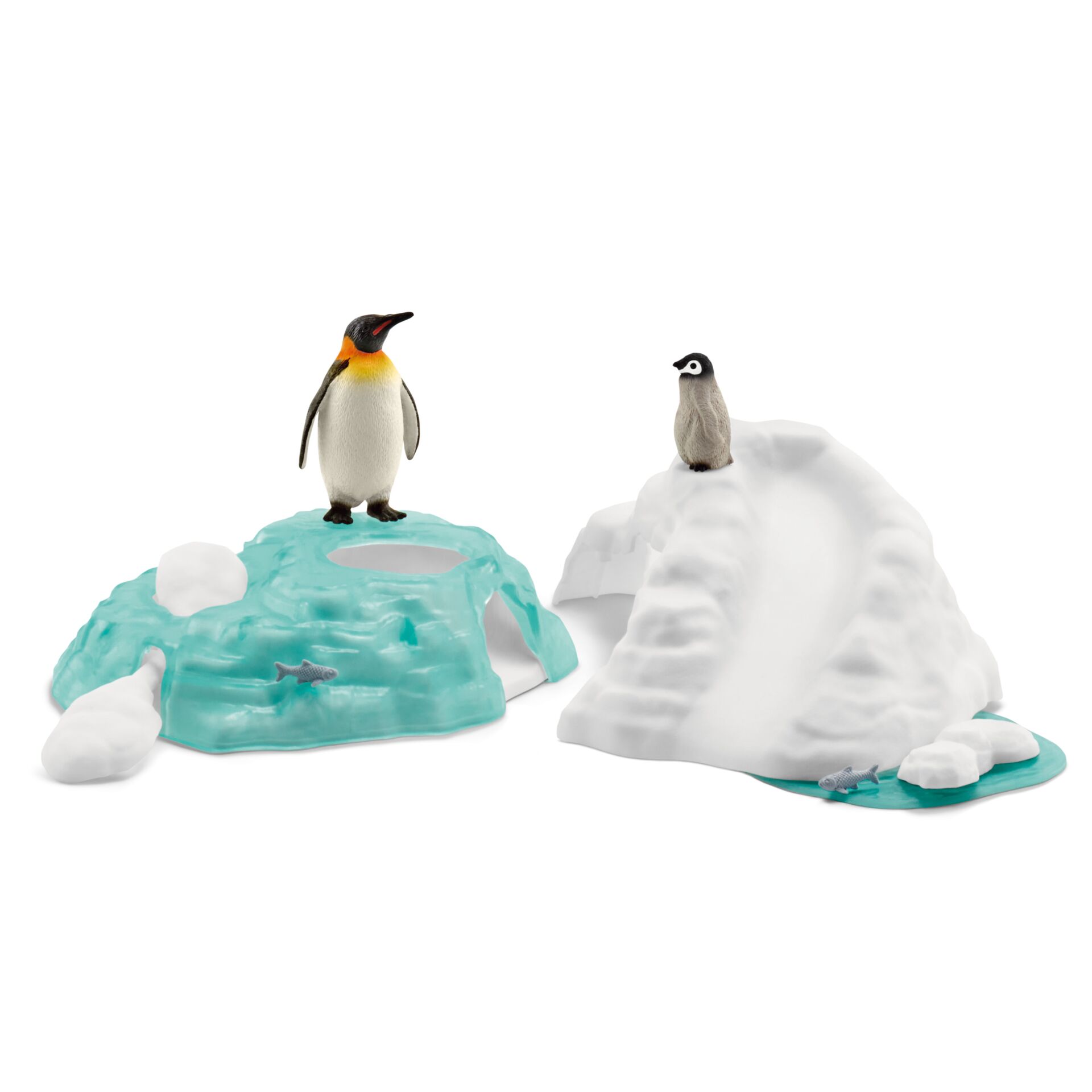 Tier, Vogel, Pinguin, Eis, Draußen