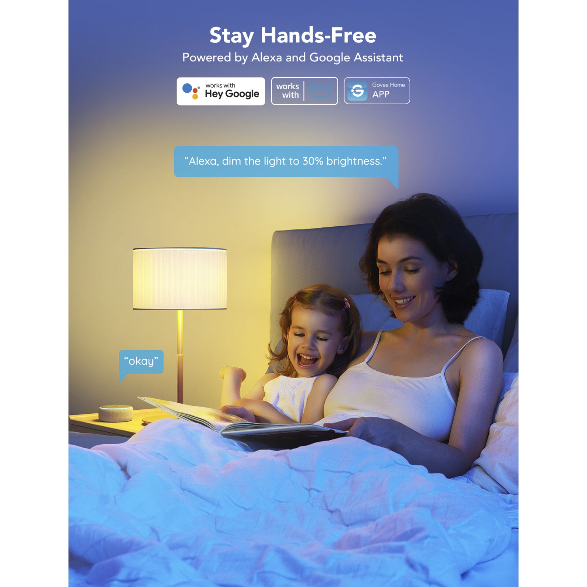 Lampe, Erwachsener, Weiblich, Person, Frau