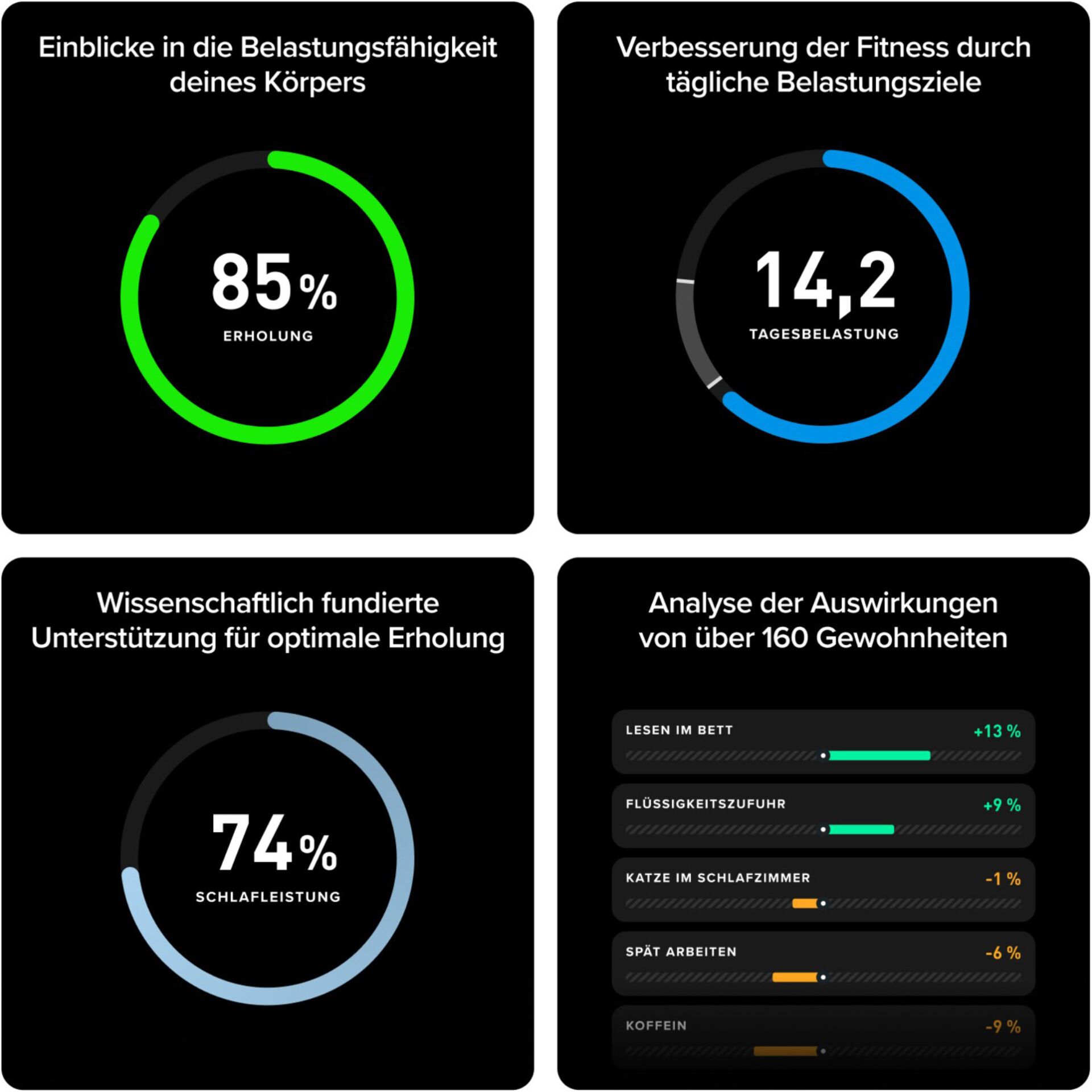 Fitness, Kreisdiagramm, Prozent, Schlafleistung, Schlafanalyse