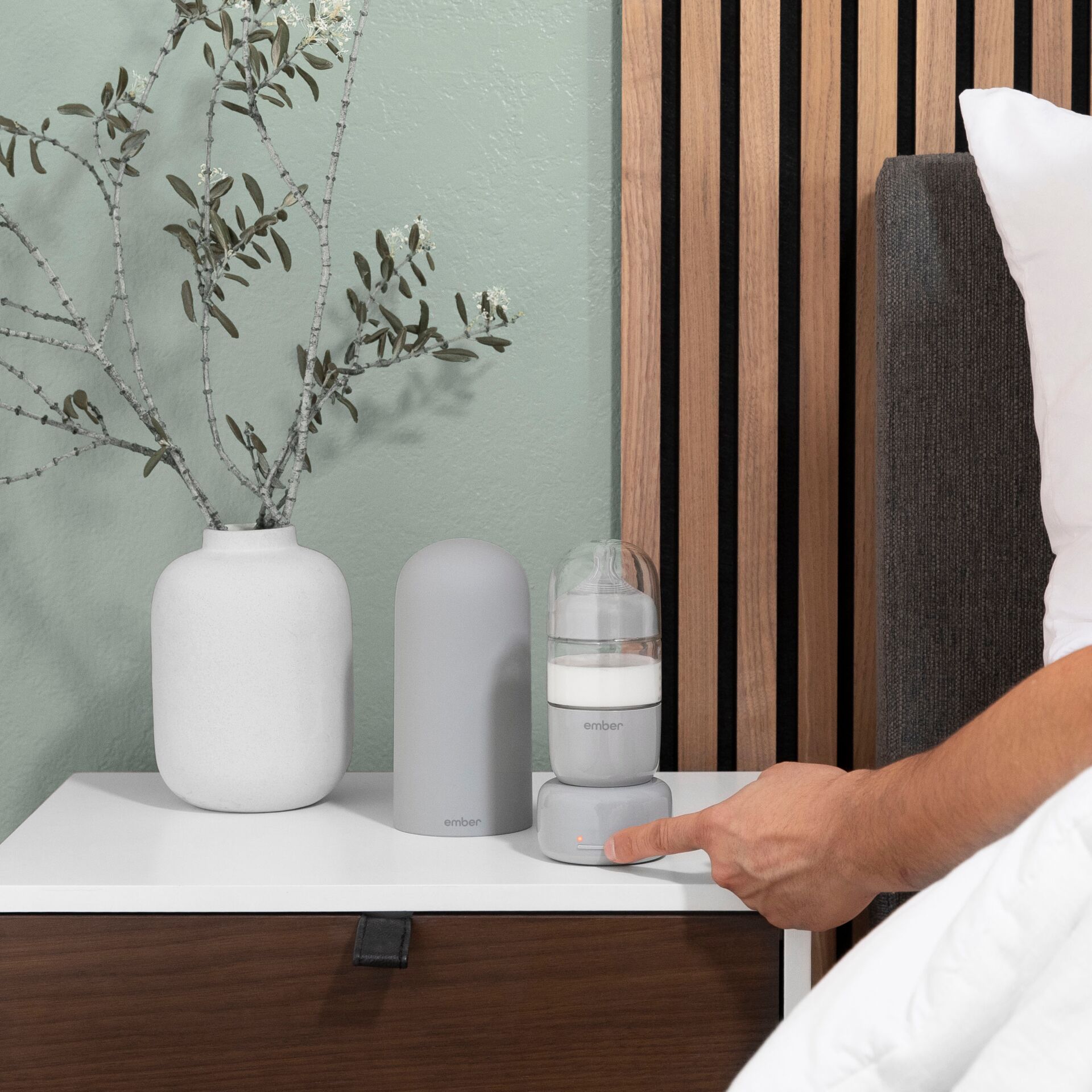 Innenarchitektur, Pflanze, Pflanze im Topf, Krug, Fensterbank