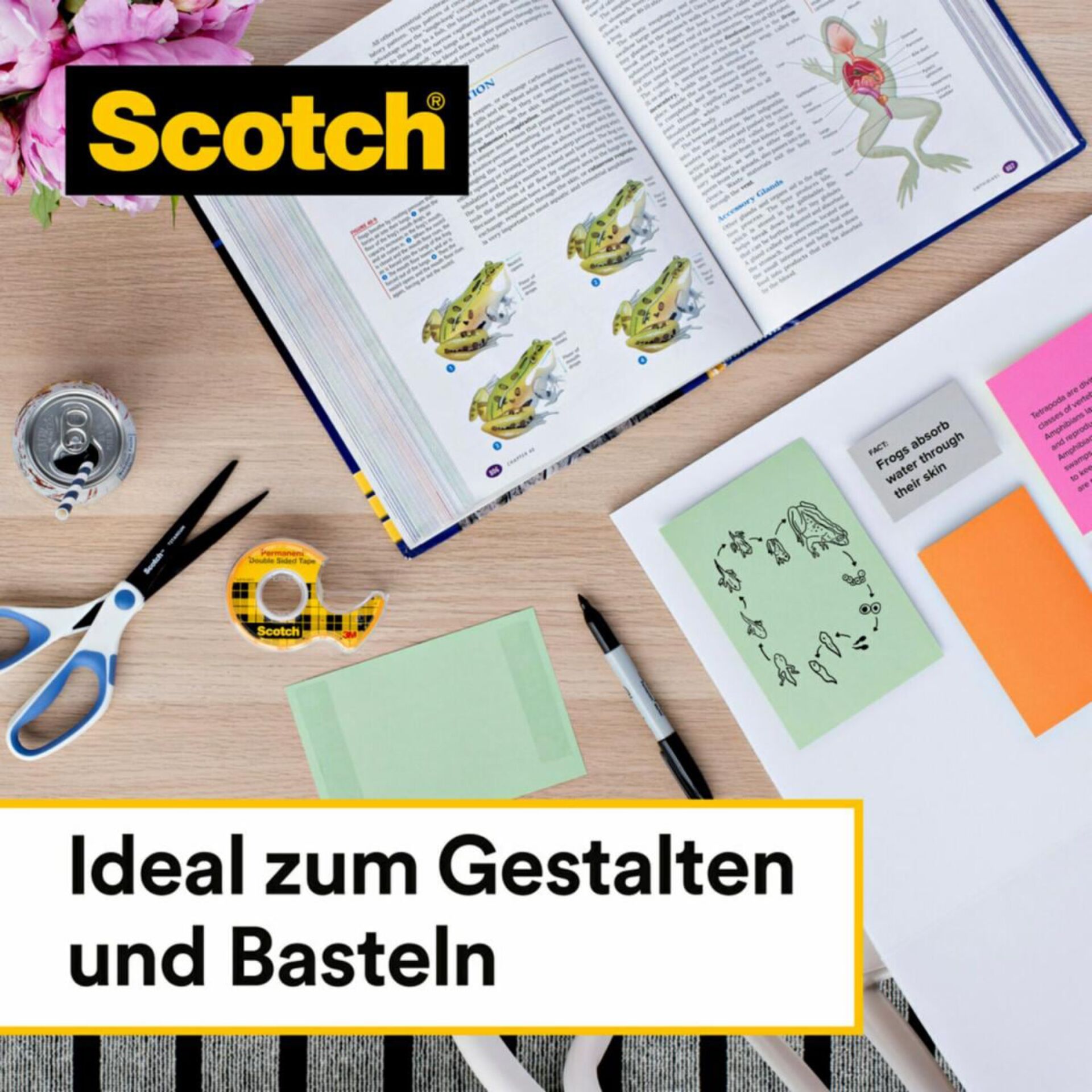 Seite, Text, Werbung, Plakat, Visitenkarte