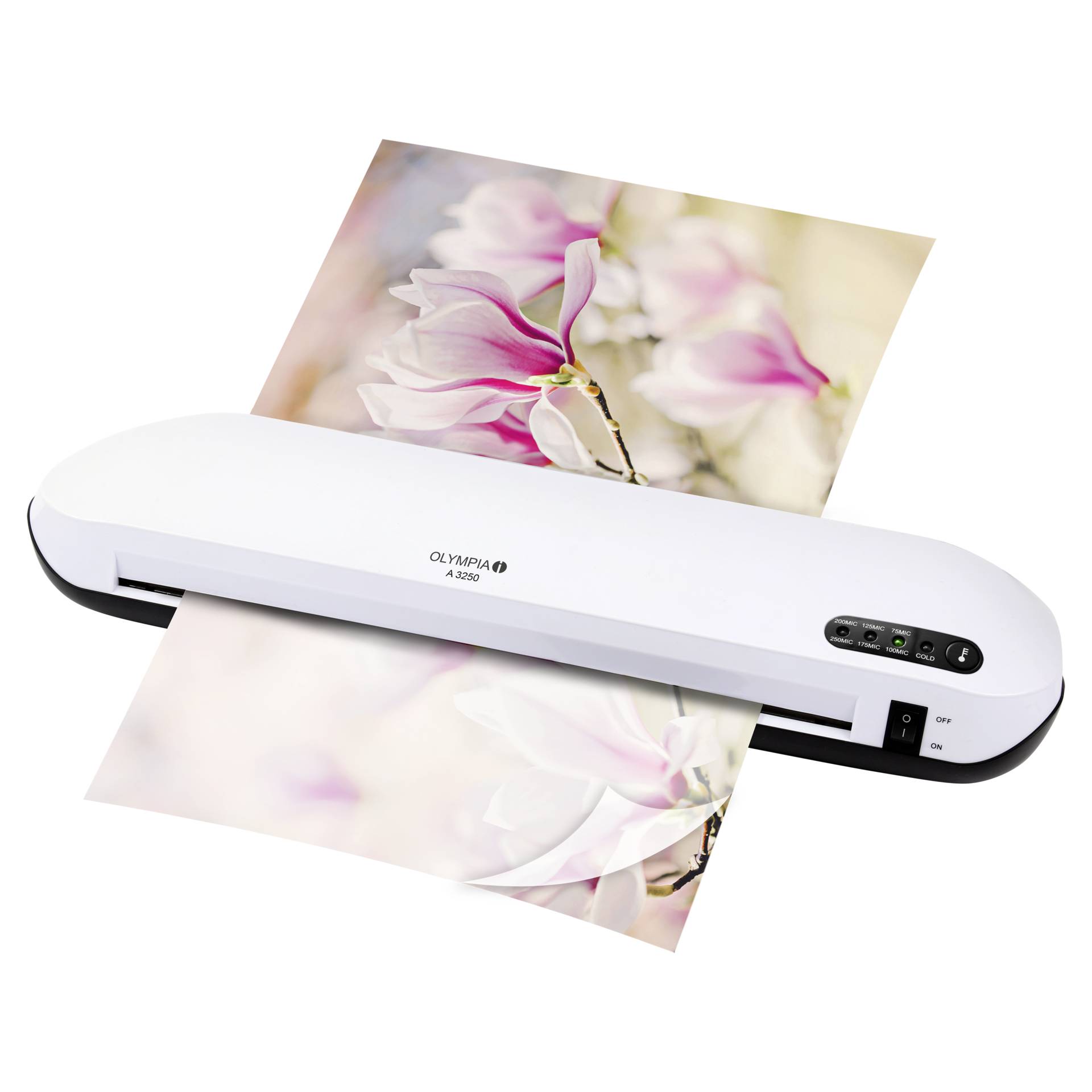 Computerausrüstung, Elektronik, Hardware, Blume, Maschine