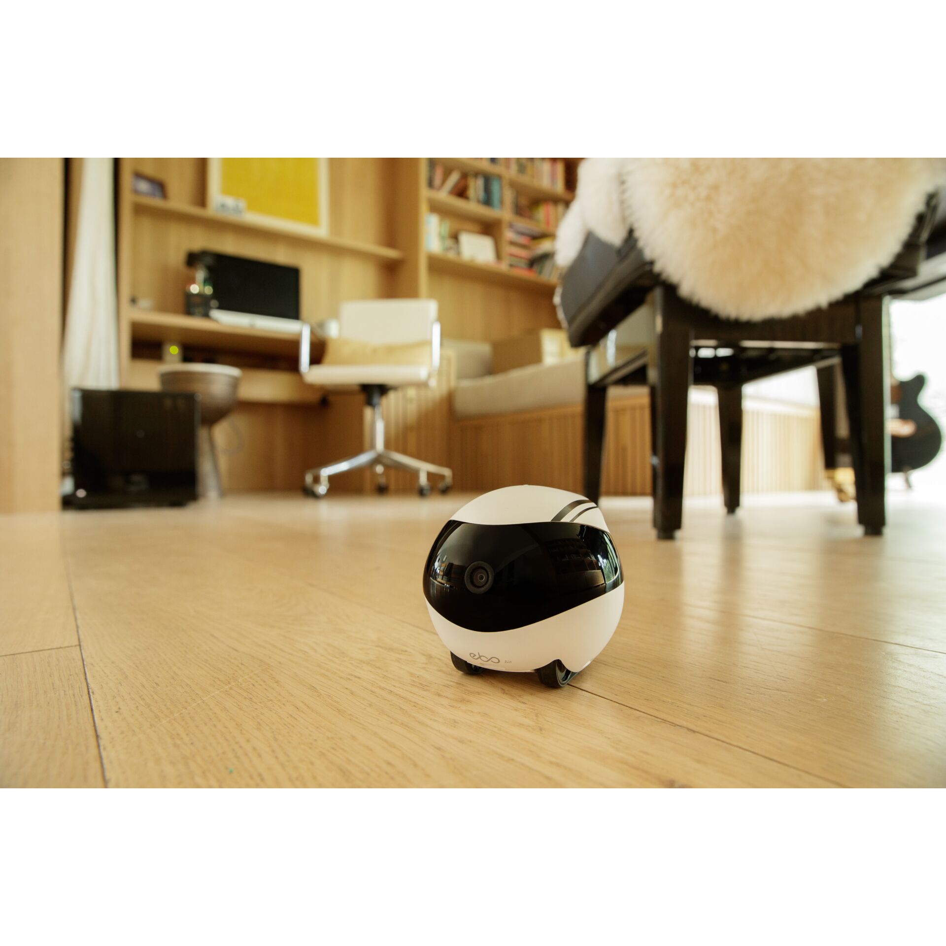 Innenarchitektur, Holz, Fußboden, Bodenbeläge, Hartholz, Innenarchitektur, Holz, Fußboden, Bodenbeläge, Hartholz