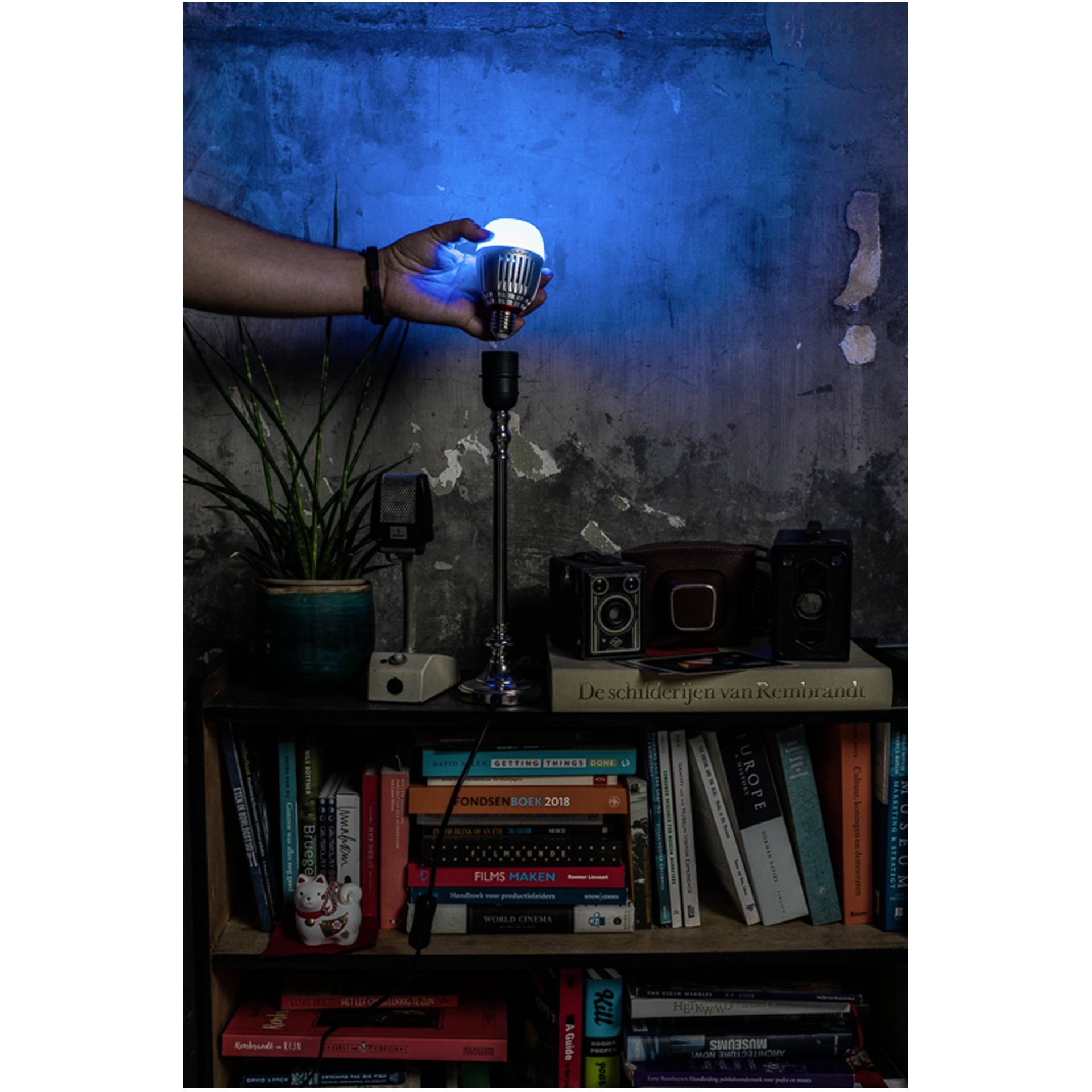 Ablage, Mobiliar, Bücherschrank