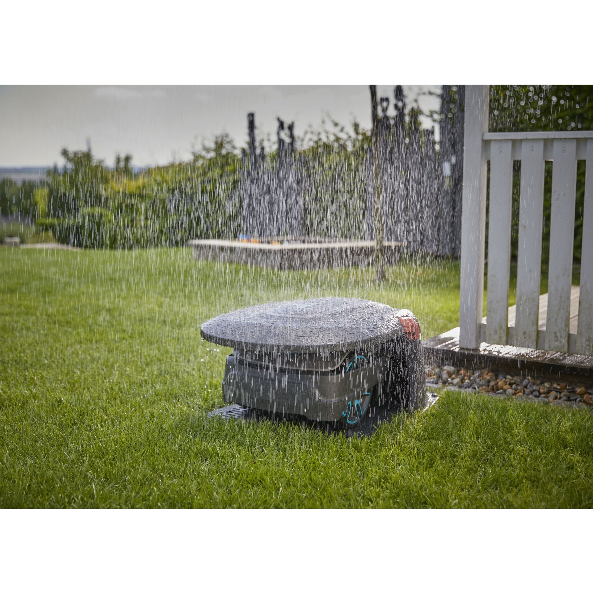 Gras, Pflanze, Drinnen, Innenarchitektur