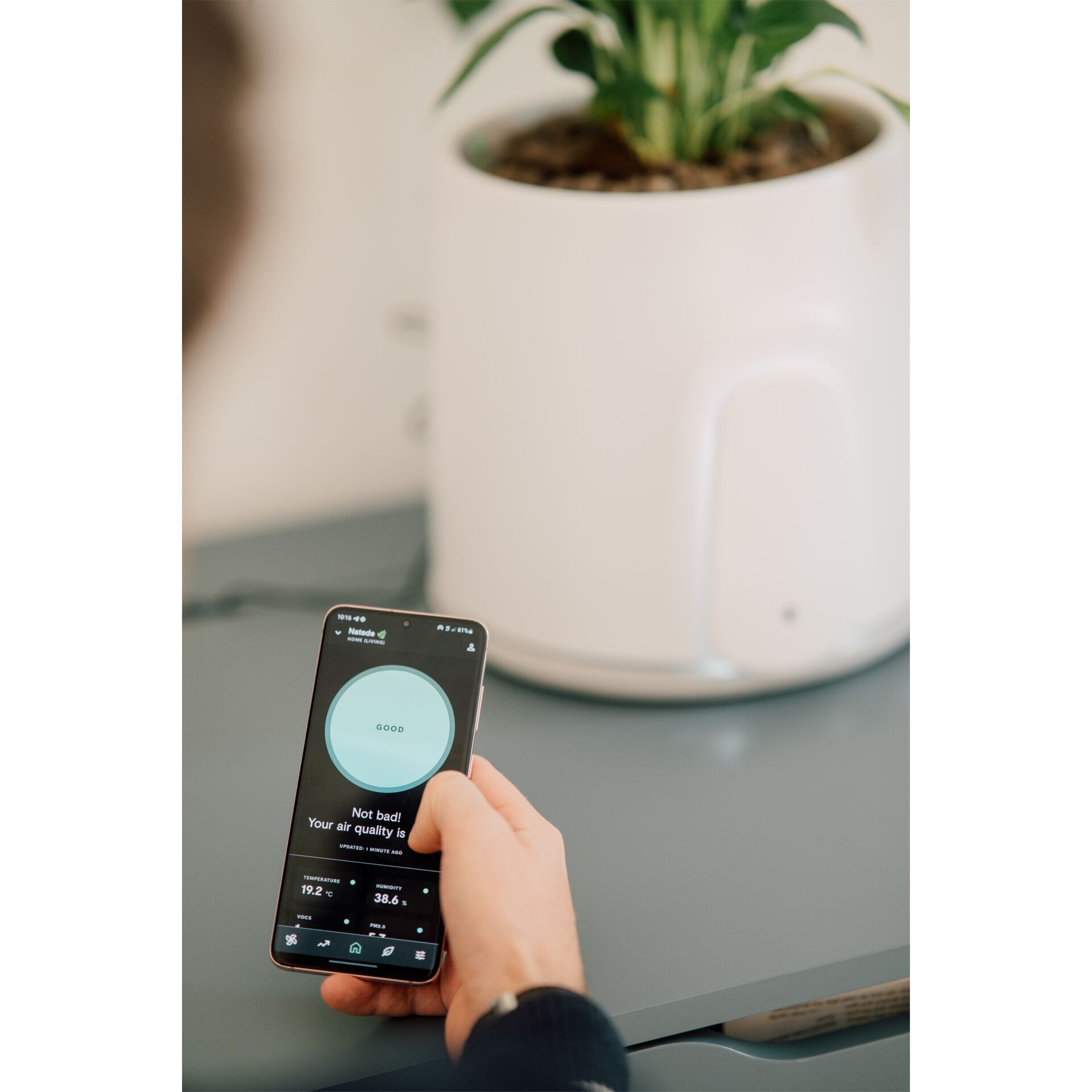 Elektronik, Handy, Telefon, Pflanze, Pflanze im Topf