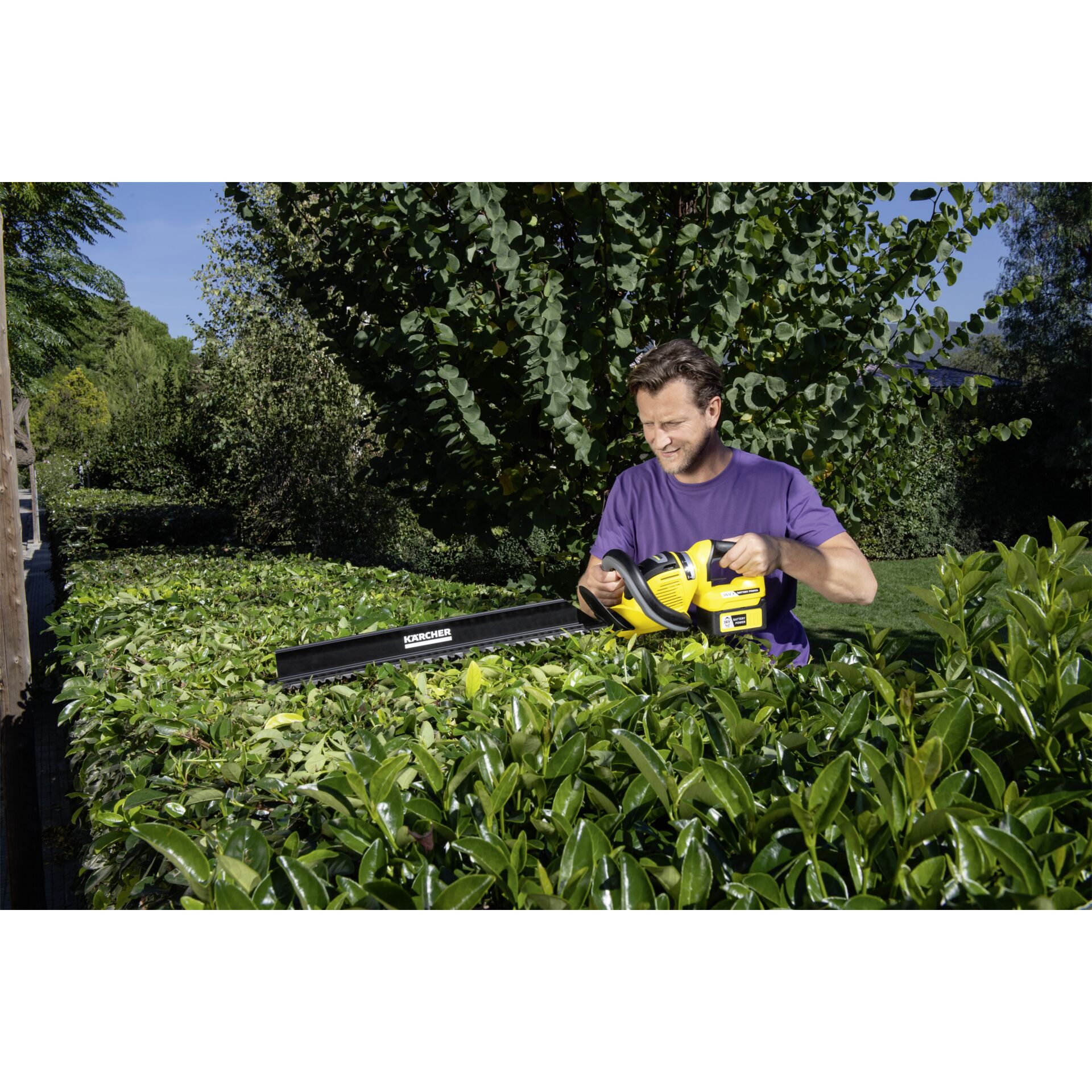 Gras, Garten, Rasen, Mann, Person