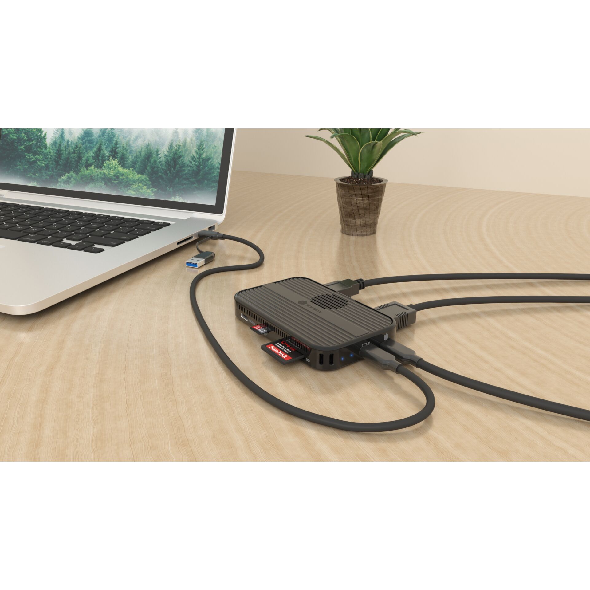 Adapter, Elektronik, Laptop, PC, Pflanze