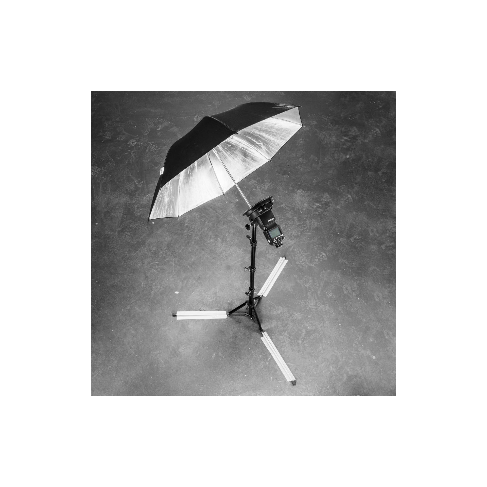 Haus, Wohnen, Terrasse, Sonnenschirm, Baldachin