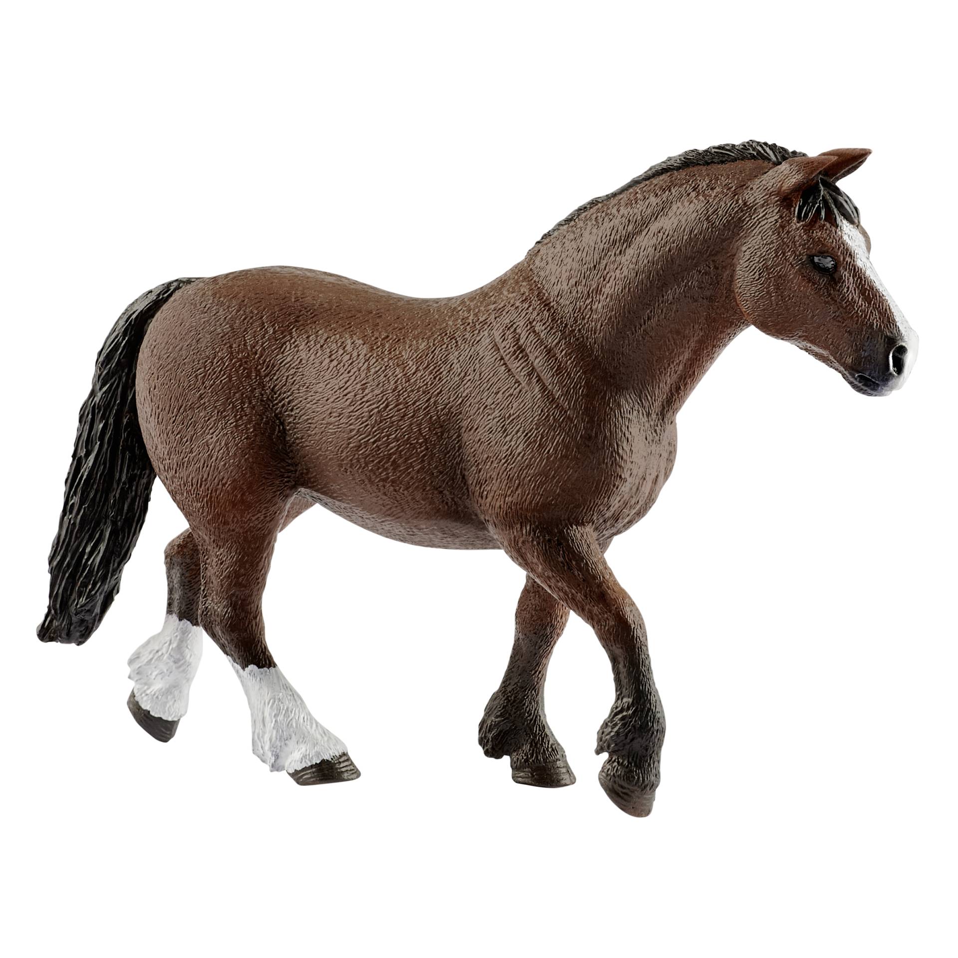 Tier, Pferd, Säugetier, Colt Horse
