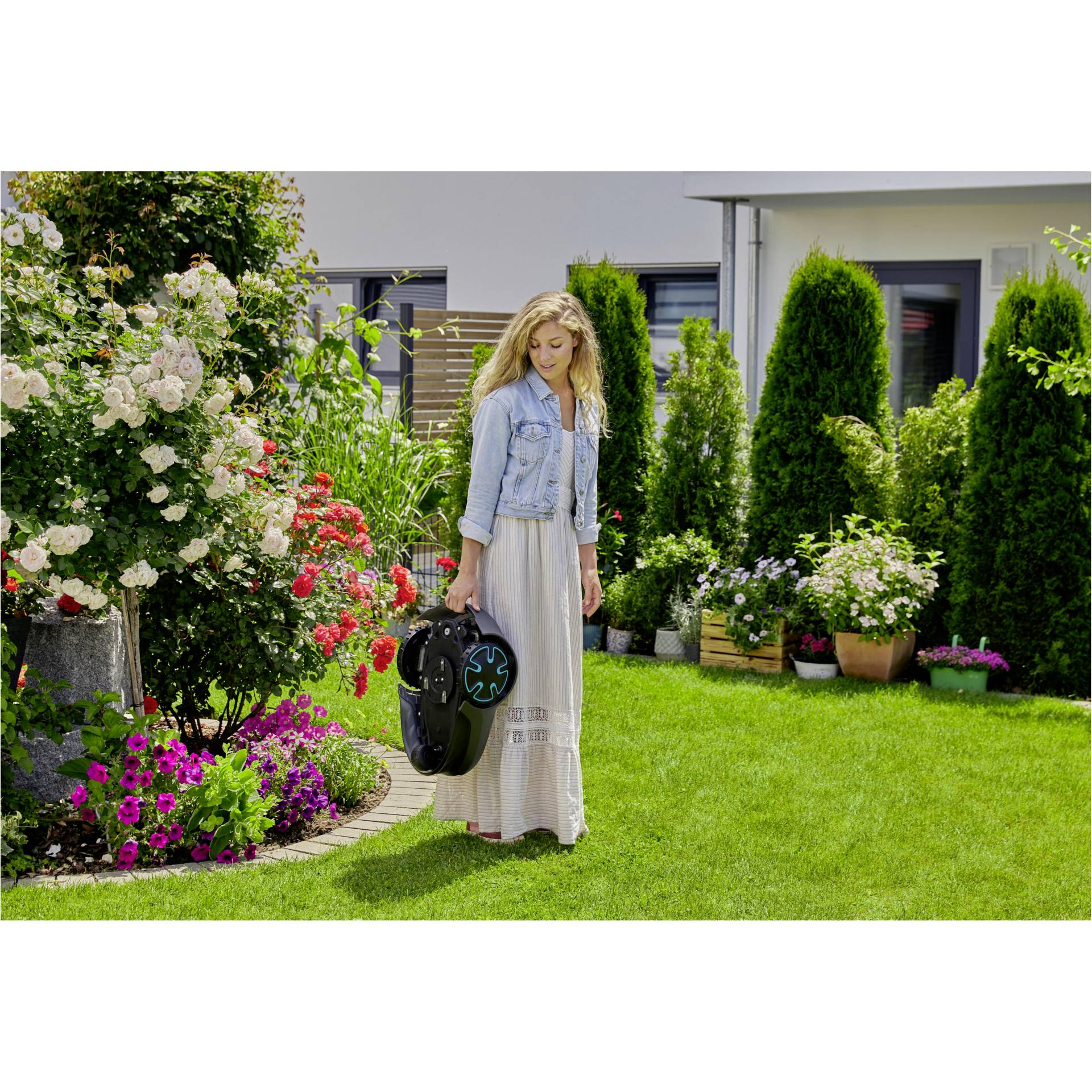 Gras, Rasen, Garten, Natur, Topfpflanze