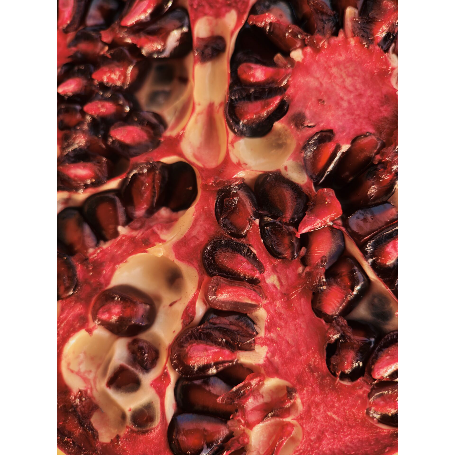 granulated seeds, granatapfel, Samenkerne, pink-rot interior, Fruchtabschnitt