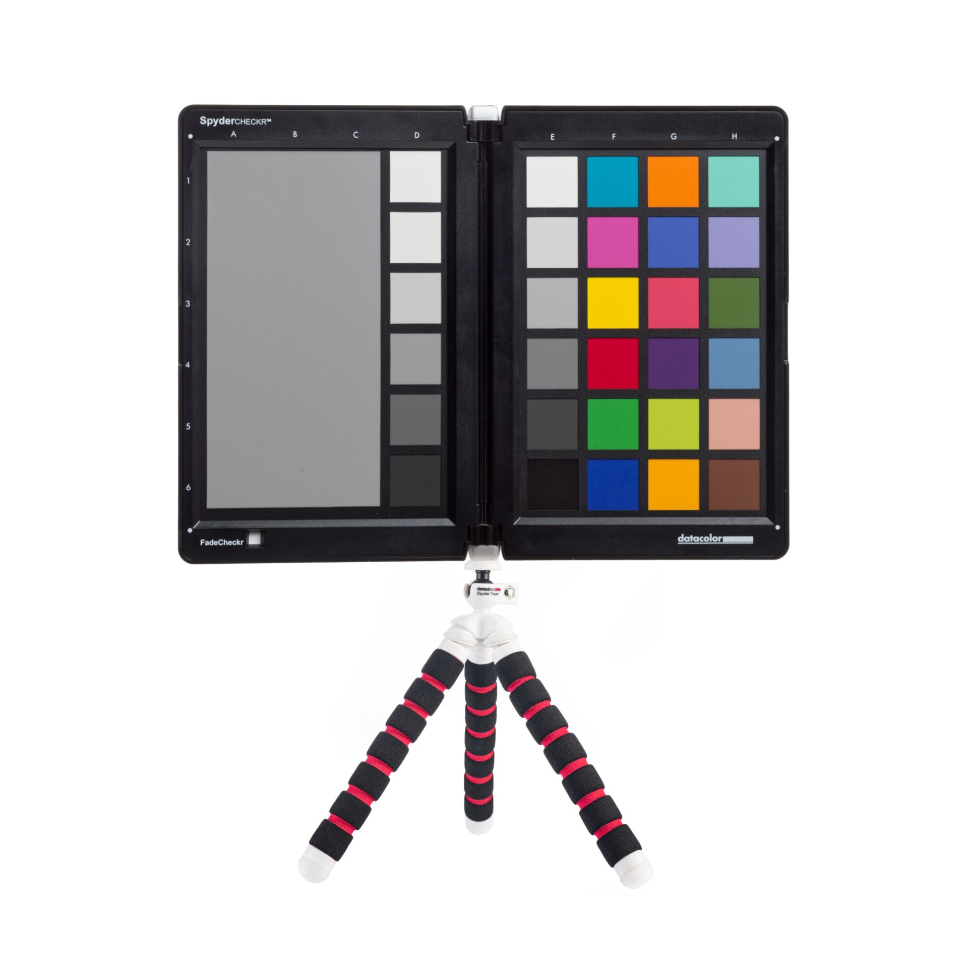 Stativ, Behälter für Farbe, Palette