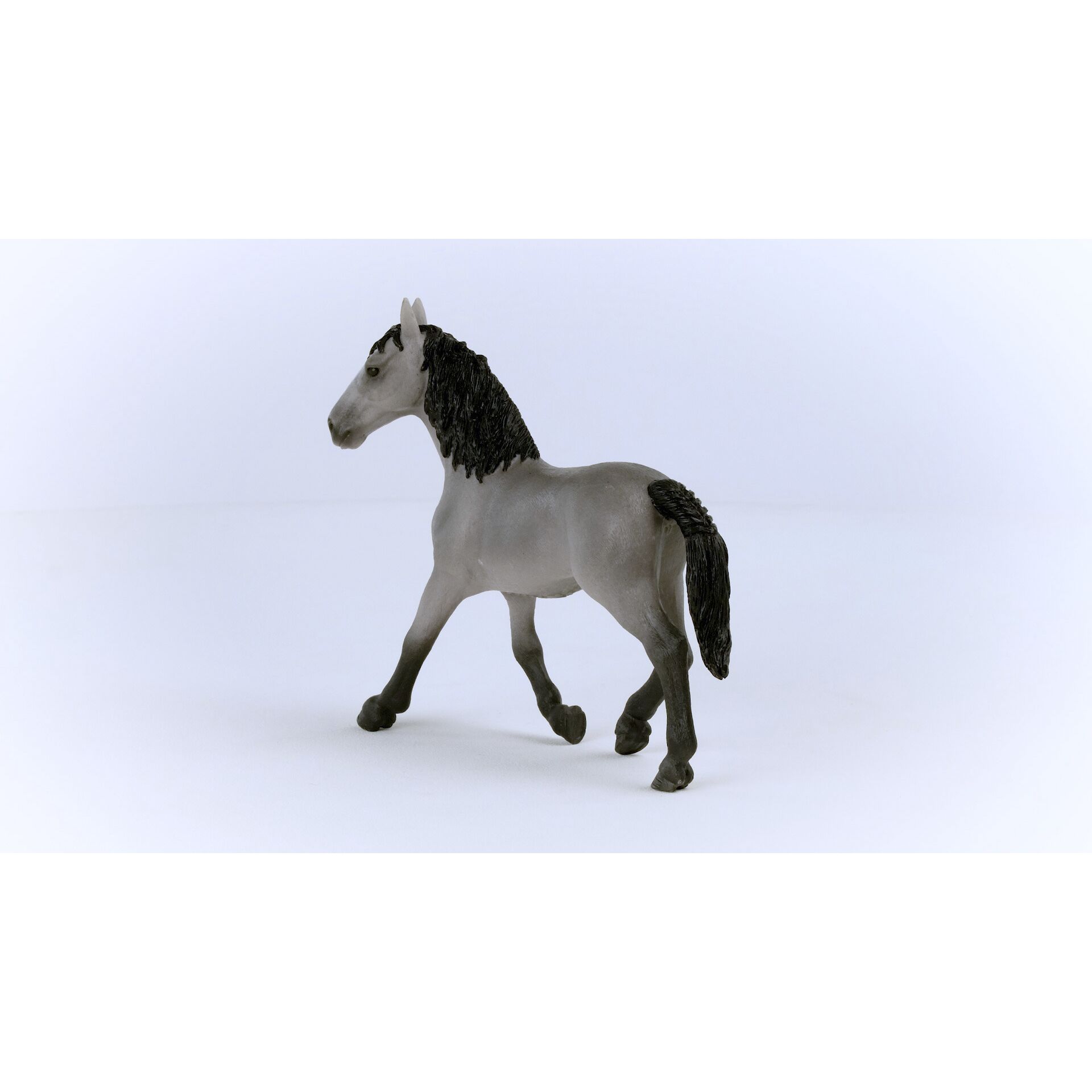Tier, Pferd, Säugetier, Colt Horse