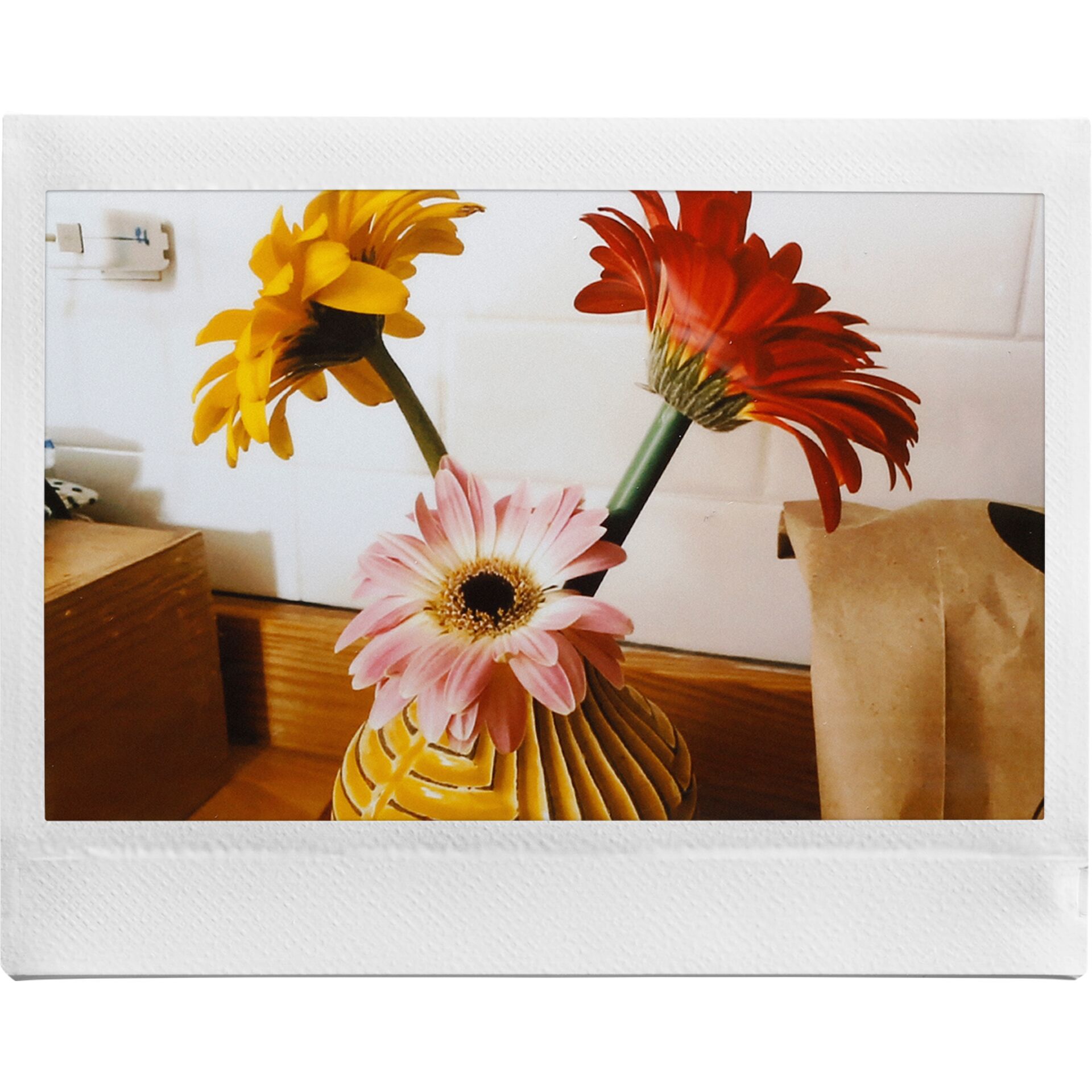 Gänseblümchen, Blume, Blumen-Arrangement, Blumenstrauß, Blütenblatt