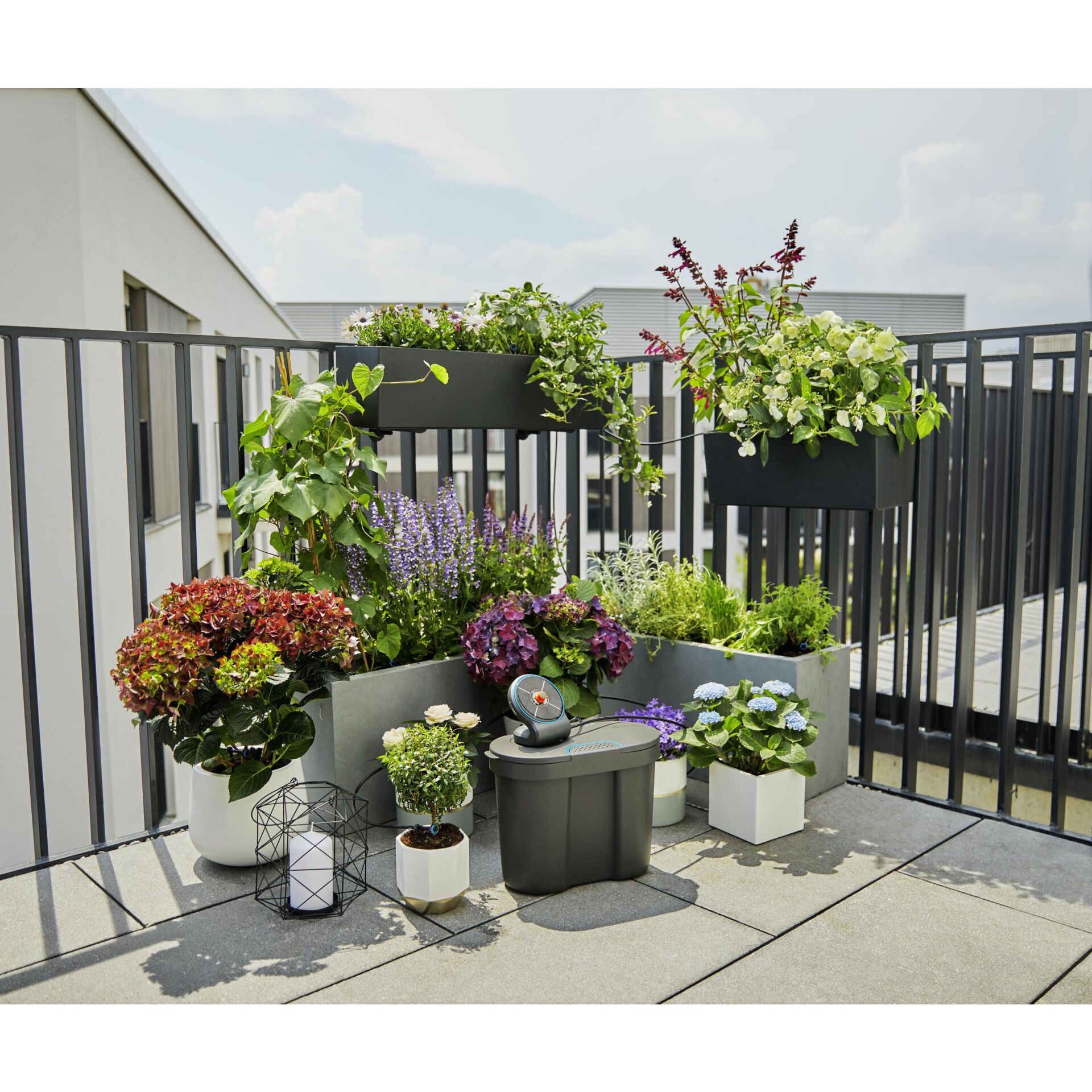 Balkon, Gebäude, Pflanze, Garten, Draußen