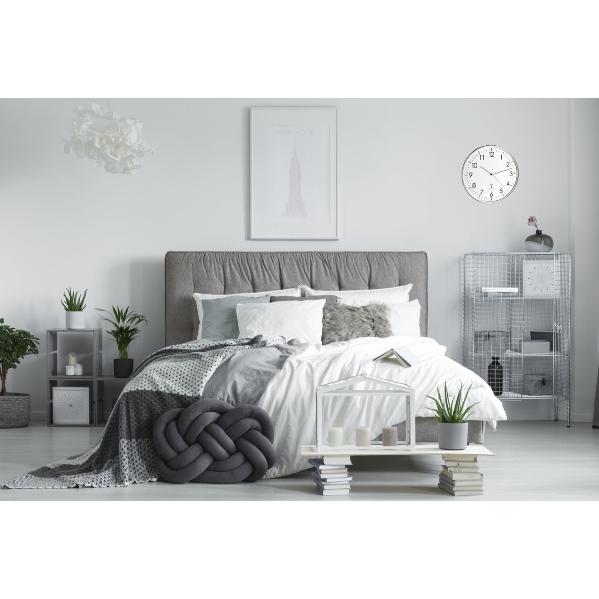 Innenarchitektur, Pflanze, Dekoration für Zuhause, Mobiliar, Kissen