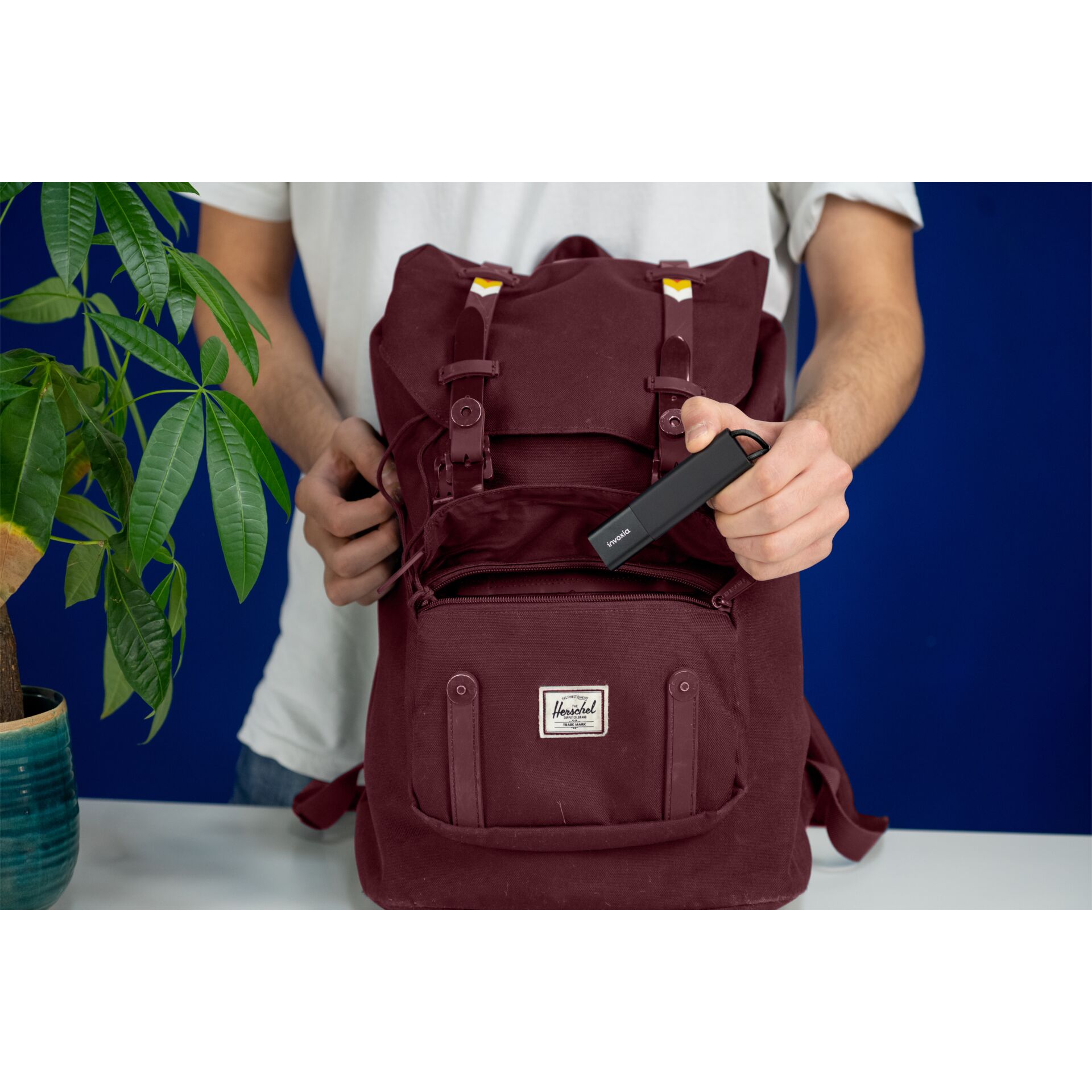 Elektronik, Telefon, Handy, Iphone, Tasche, Pflanze, Rucksack, Person