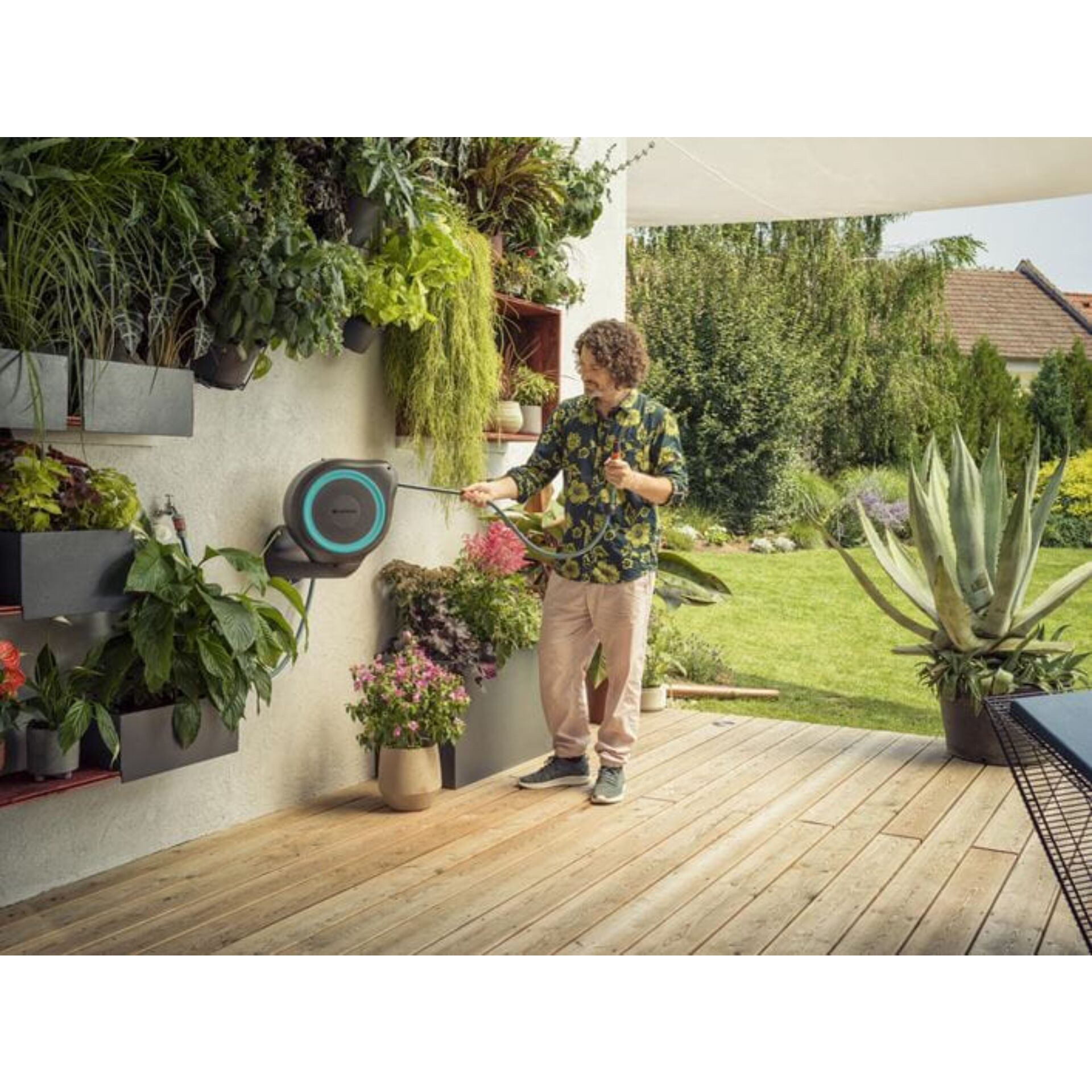 Pflanze, Pflanze im Topf, Innenarchitektur, Pflanzgefäß, Person