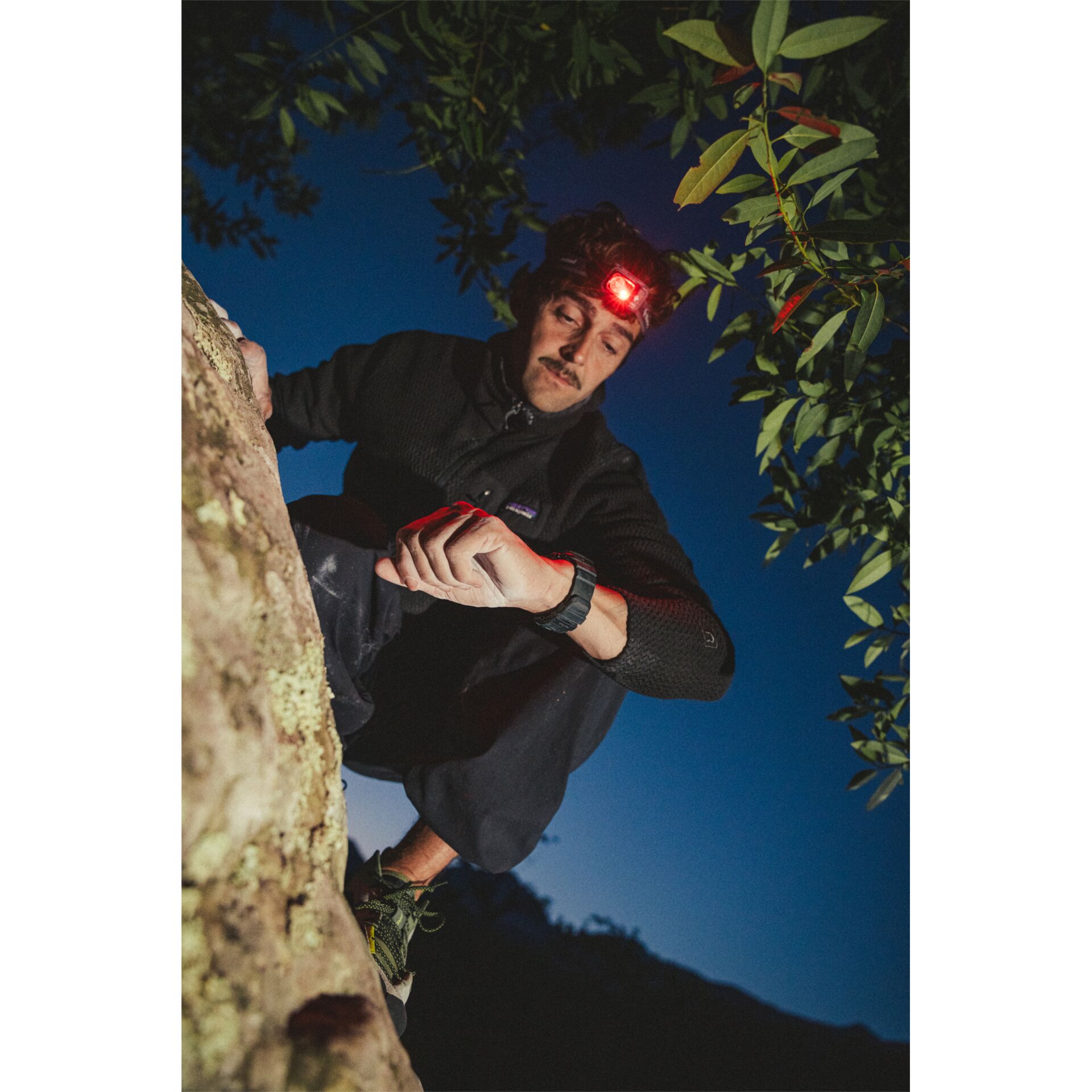 Photographie, Portrait, Baum, Bewuchs, Fels, Photographie, Portrait, Baum, Bewuchs, Fels