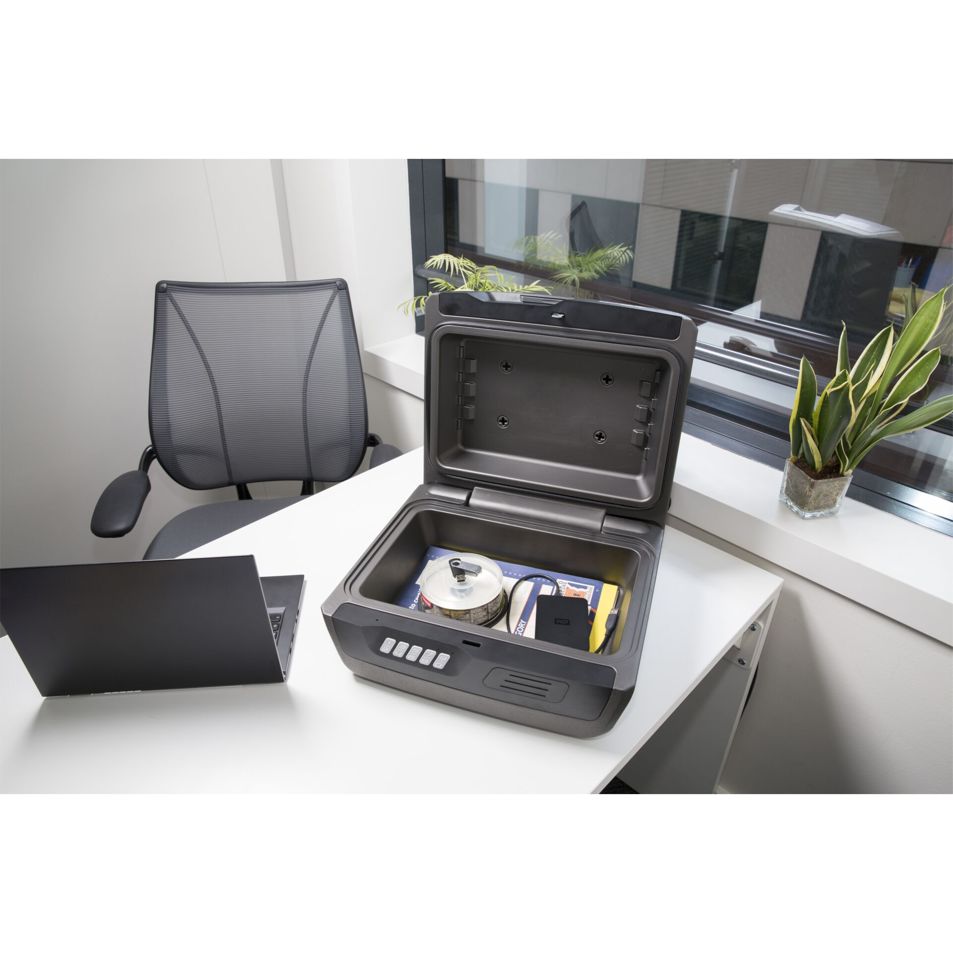 Pflanze, Computer-Ausrüstung, Computerausrüstung, Tasche, Laptop