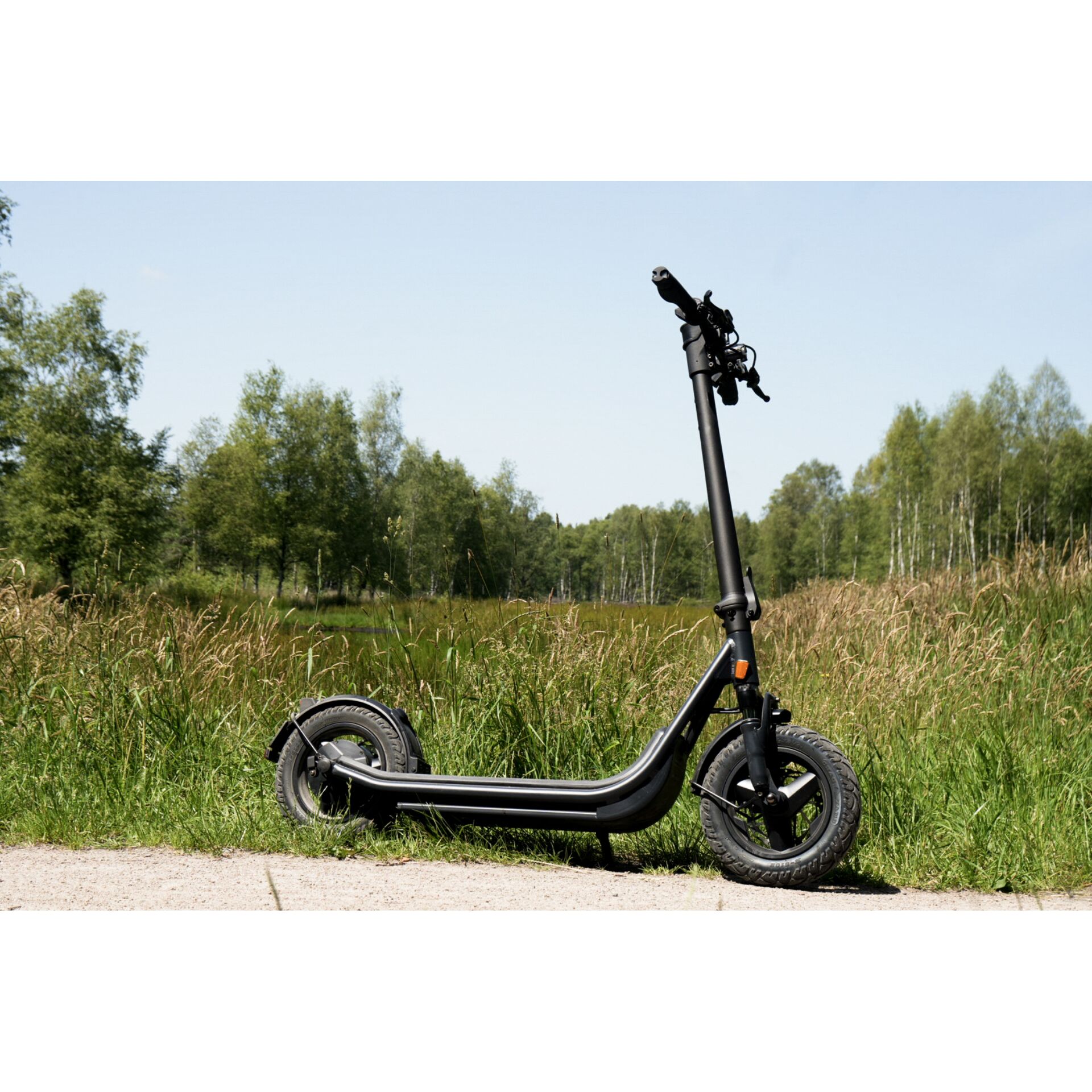 Elektroroller, Tretroller, Faltbar, Schwarz, Reifen