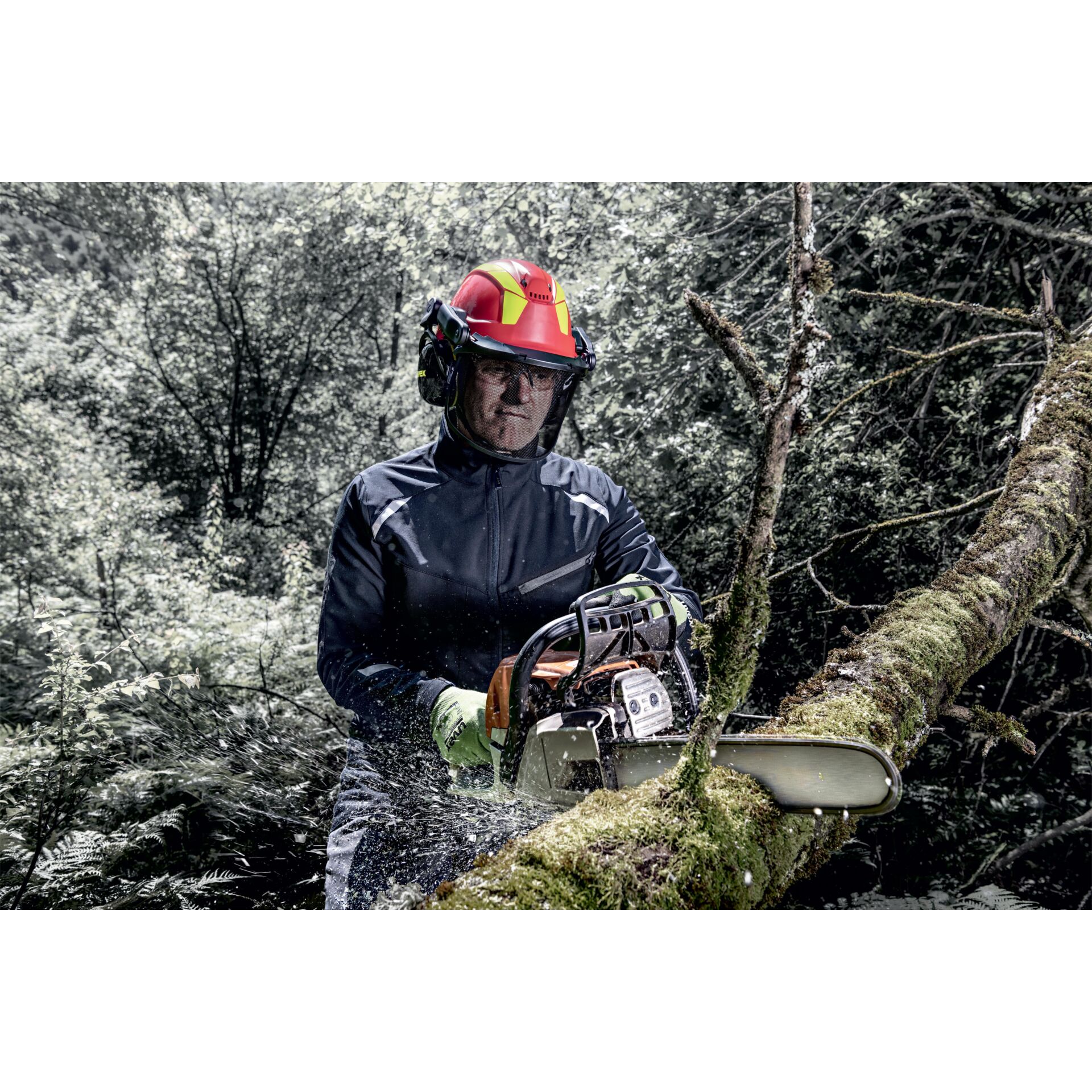 Handschuh, Erwachsener, Männlich, Mann, Person