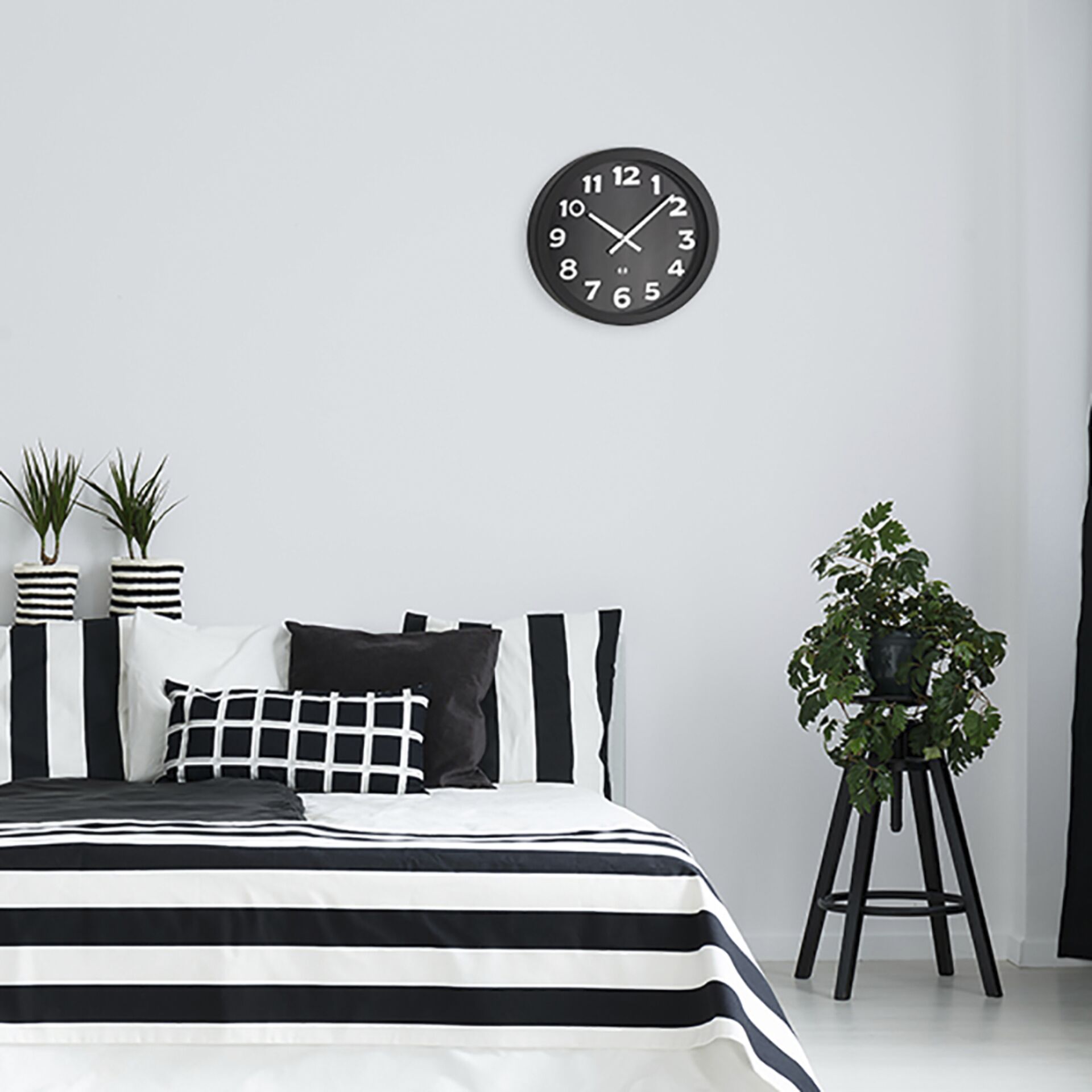 Innenarchitektur, Inneneinrichtung, Kissen, Pflanze, Pflanze im Topf