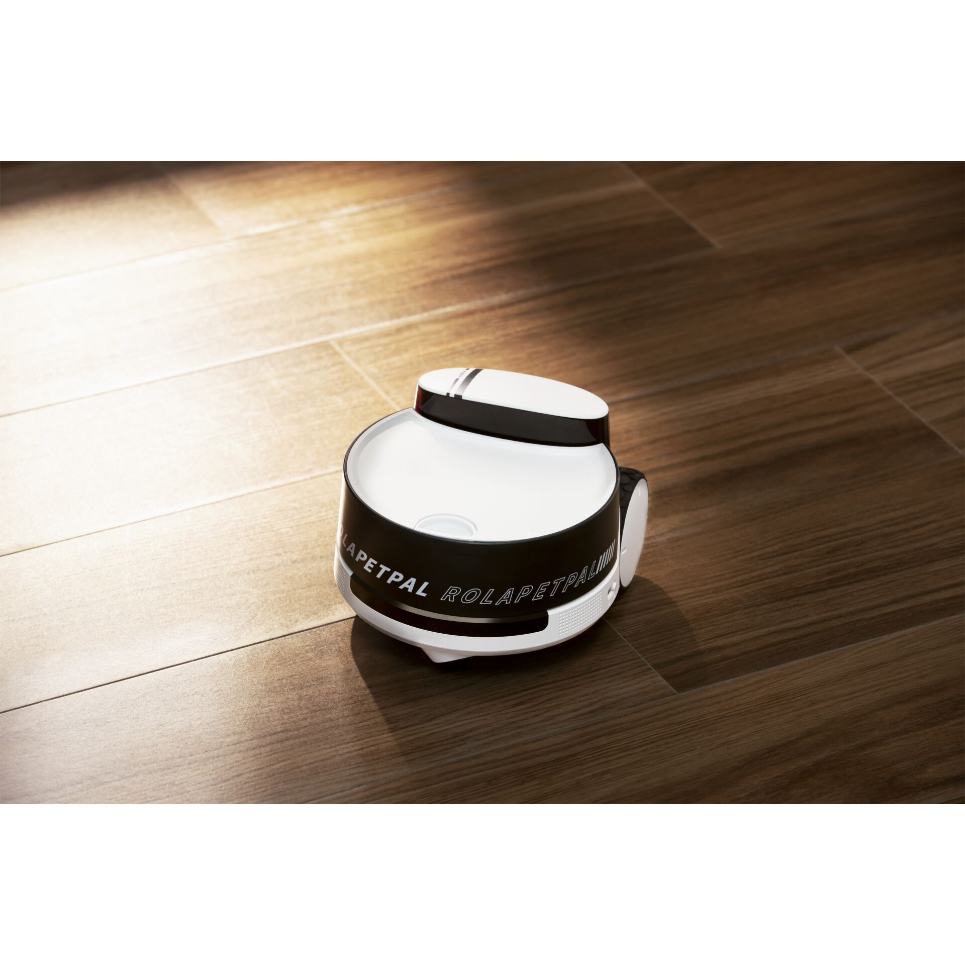 Drinnen, Innenarchitektur, Hartholz, Holz, Bodenbeläge, Drinnen, Innenarchitektur, Hartholz, Holz, Bodenbeläge