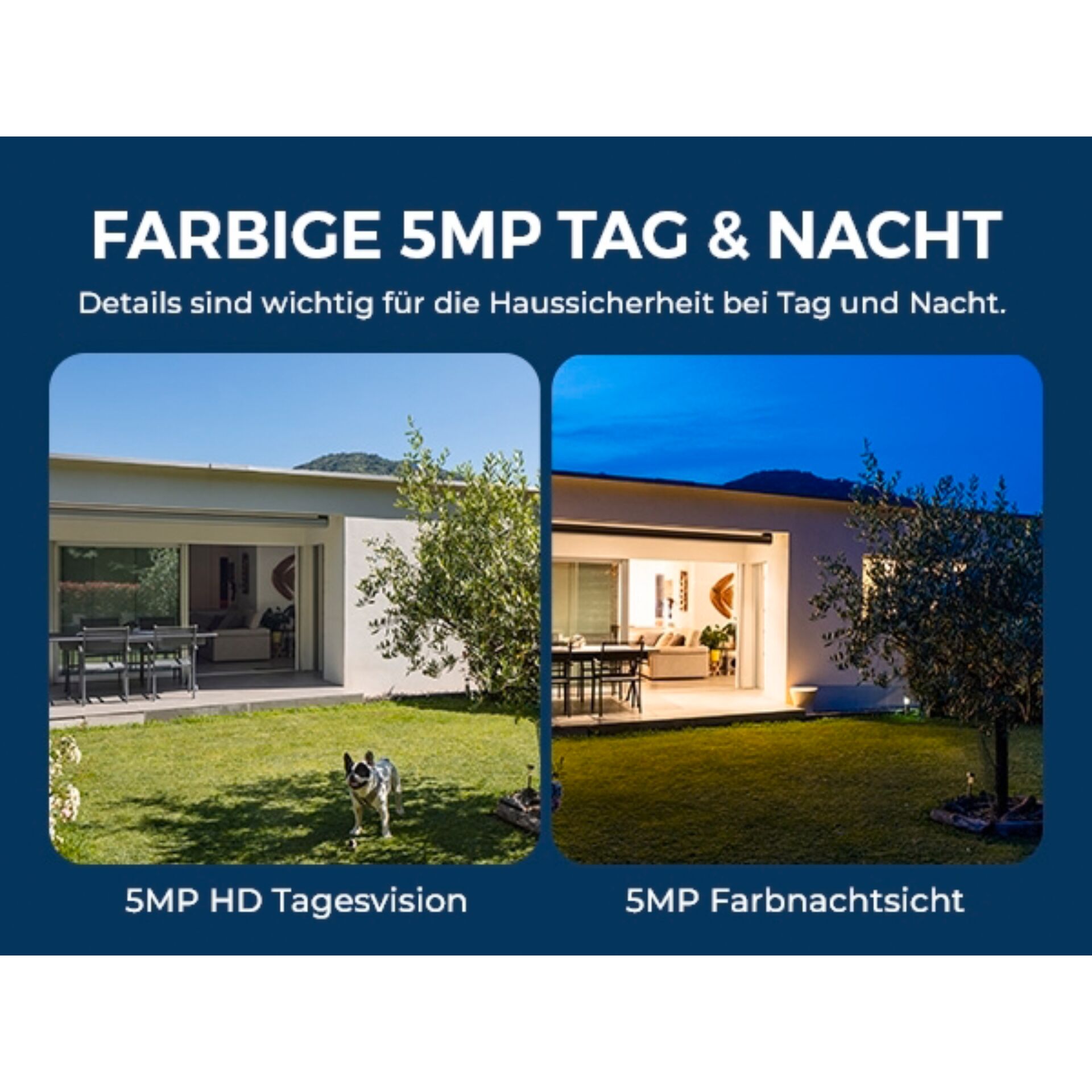 Wohnen, Villa, Gras, Hinterhof, Rasen