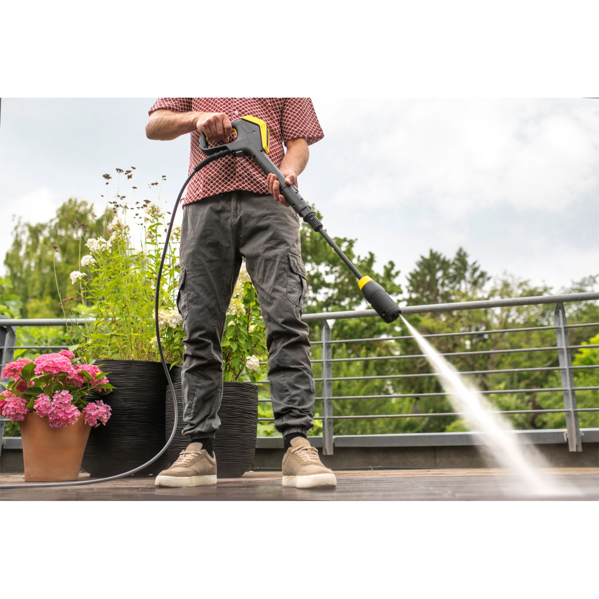 Drinnen, Innenarchitektur, Gras, Pflanze