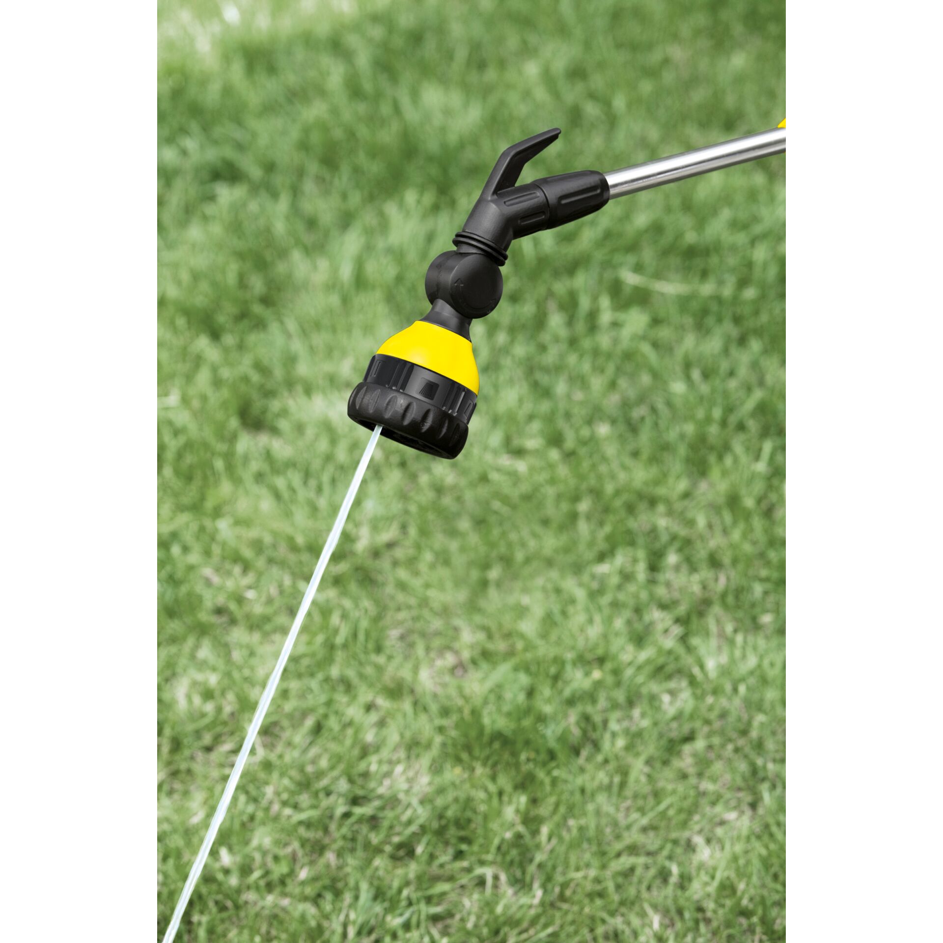 Gras, Pflanze, Wasser, Gras, Pflanze, Wasser