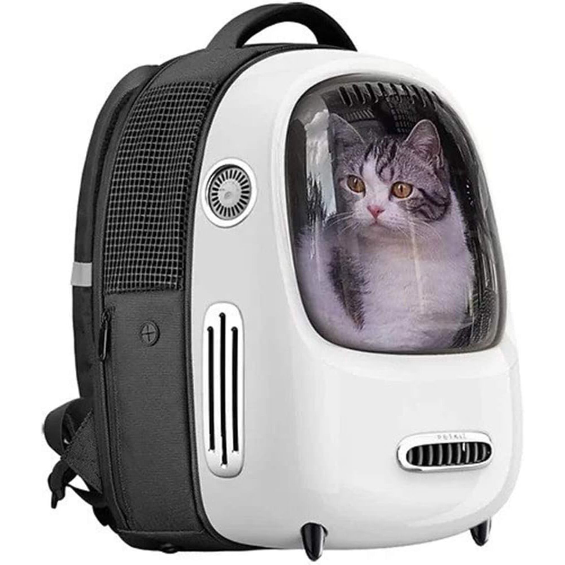 Tasche, Rucksack, Katze, Säugetier, Haustier