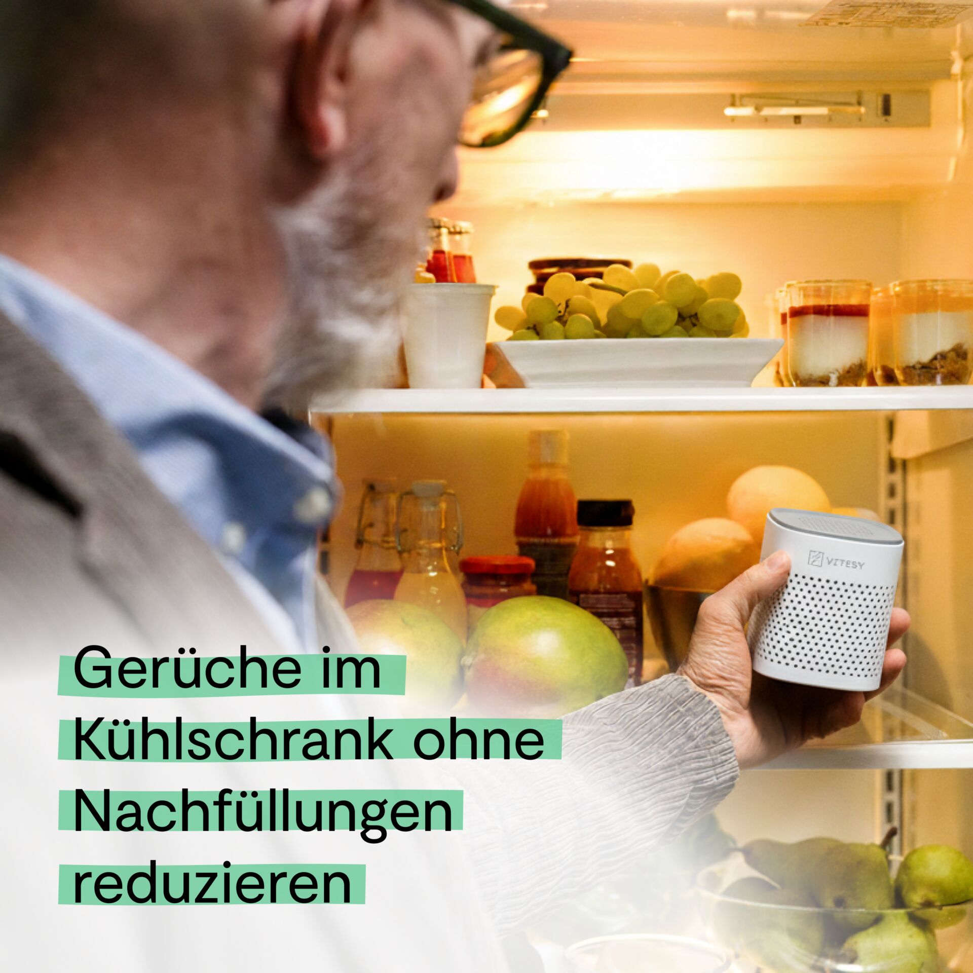 Kühlschrank, Fruchtplatte, Gerüchereduzierer, Smart Speaker, Geräteleiter