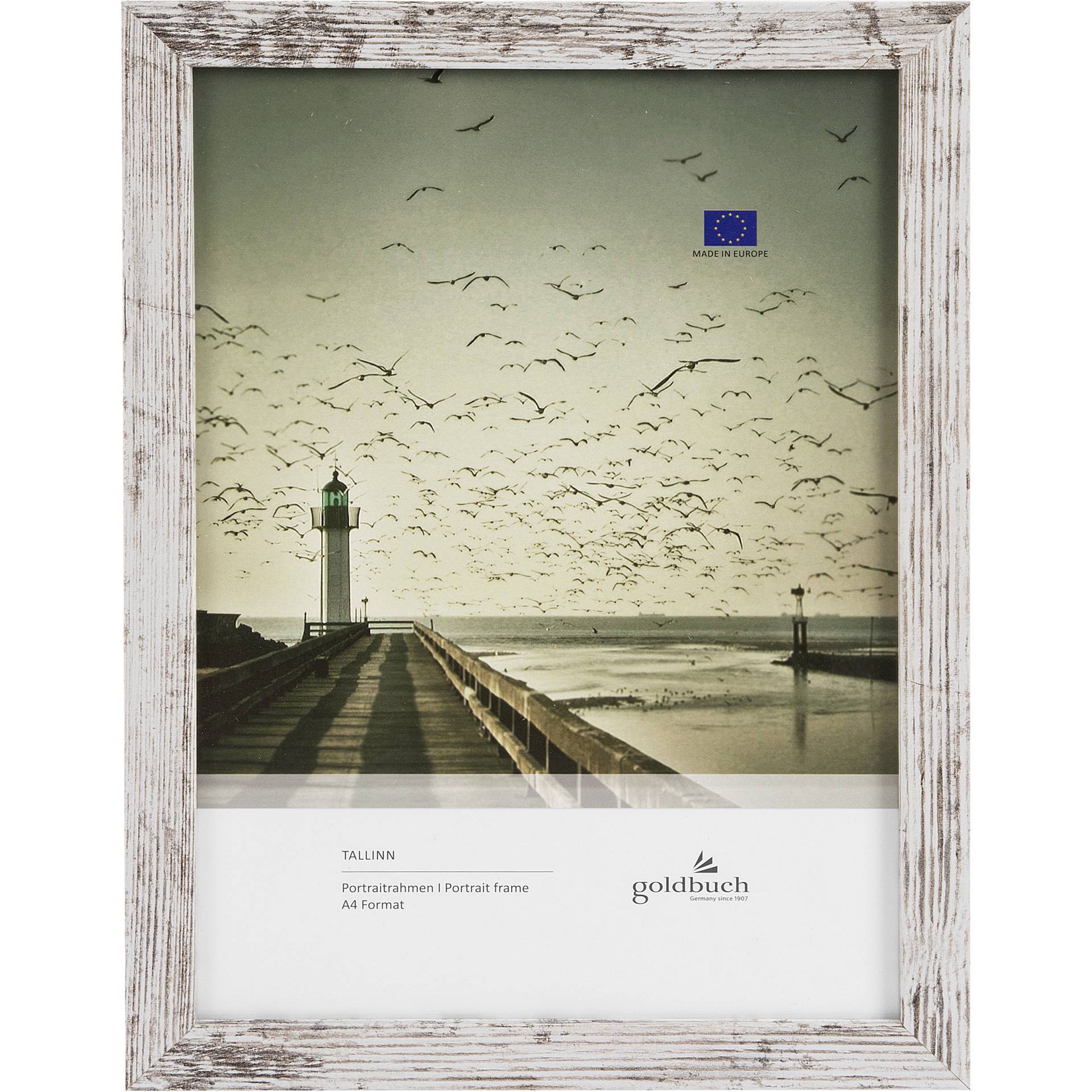 Wasser, Uferpromenade, Tier, Vogel