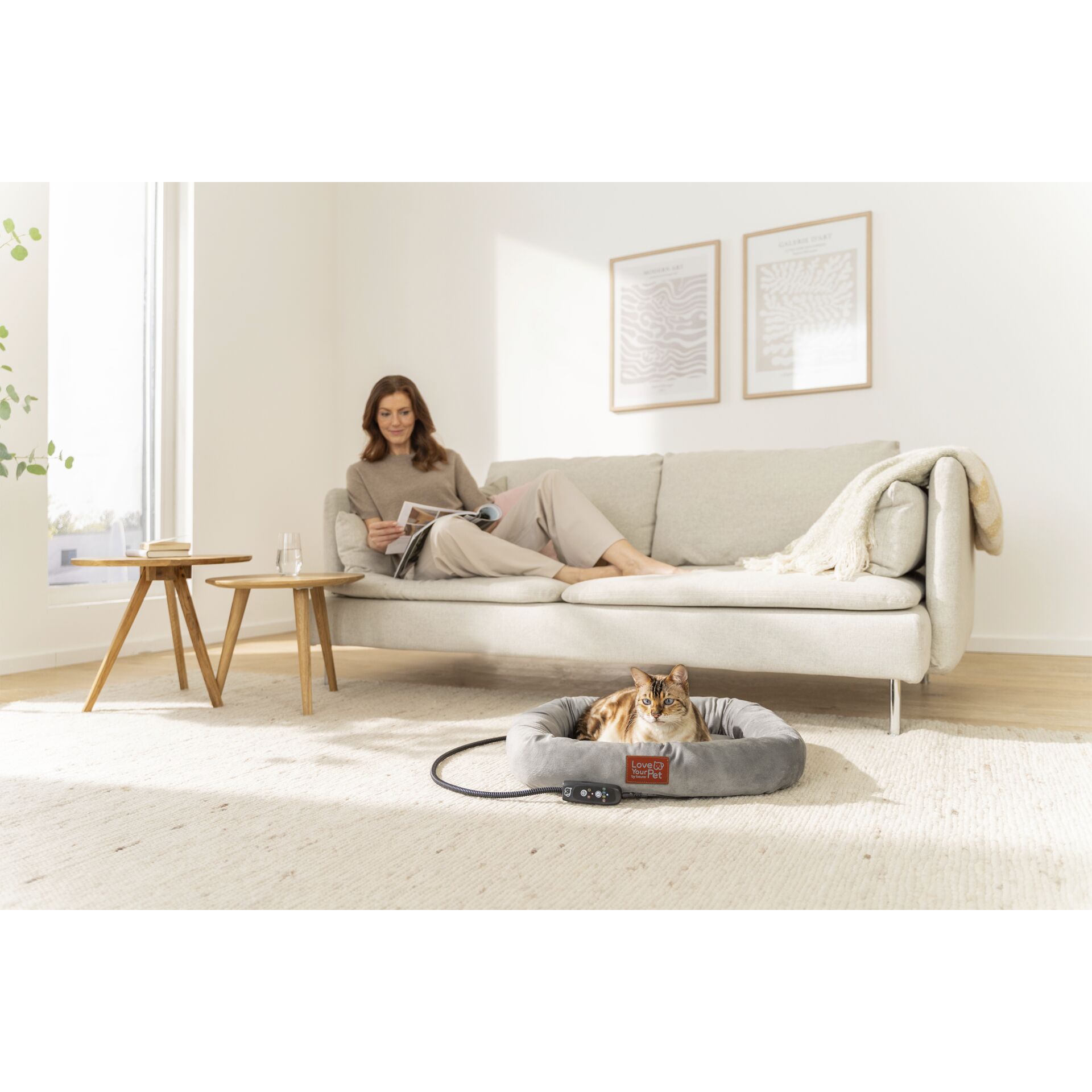 Erwachsener, Weiblich, Person, Frau, Hund