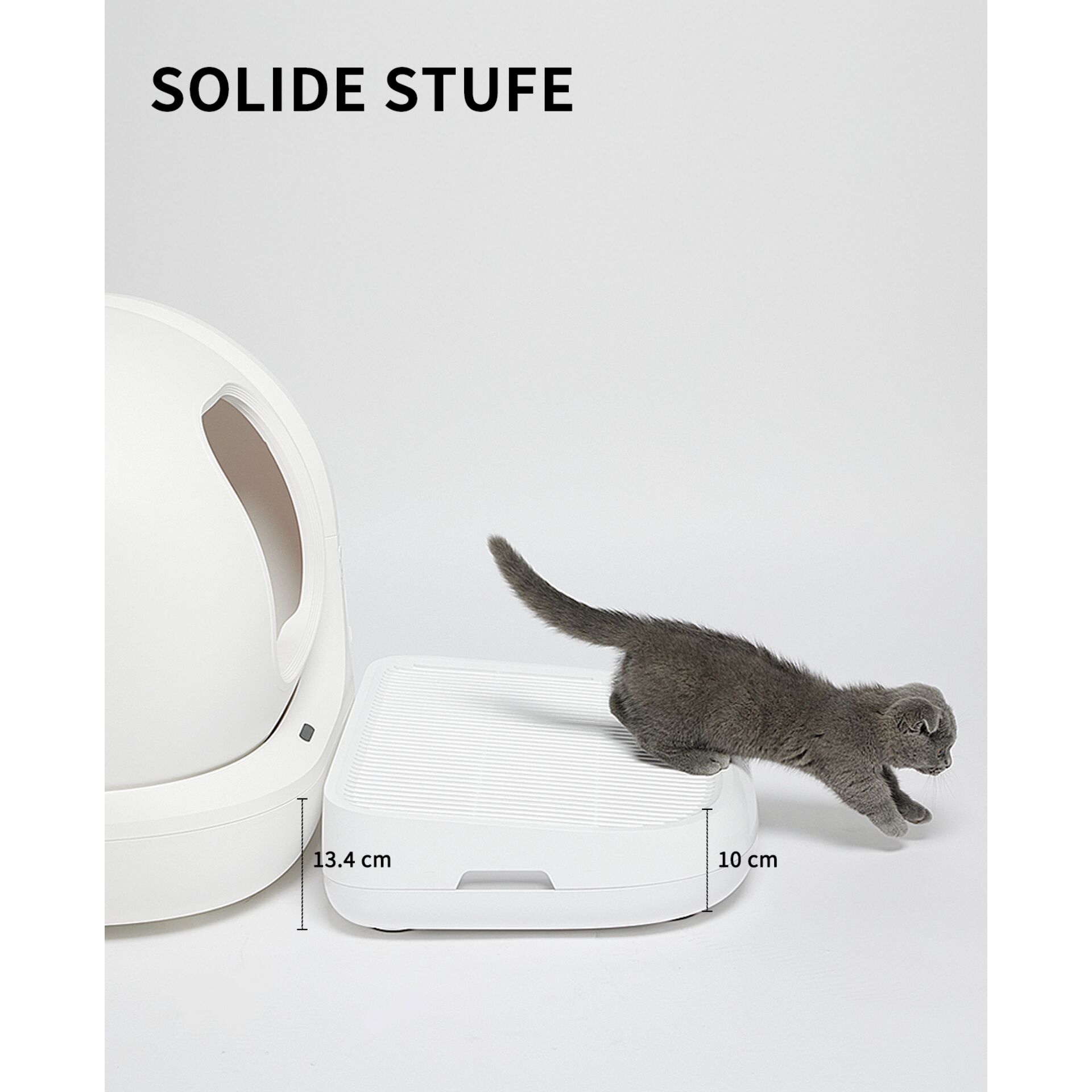 Tier, Katze, Säugetier, Haustier